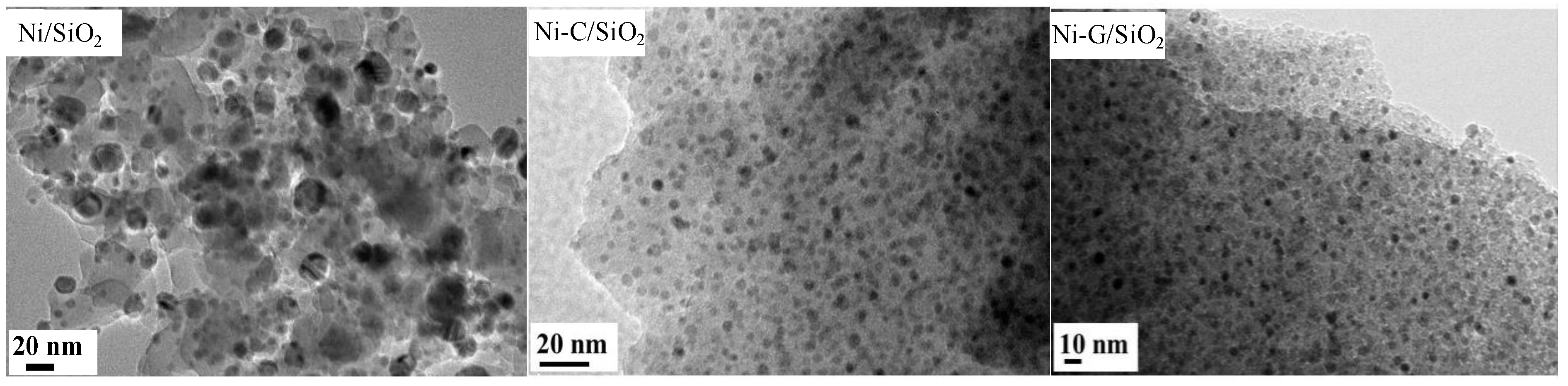 Catalysts 10 00795 g002