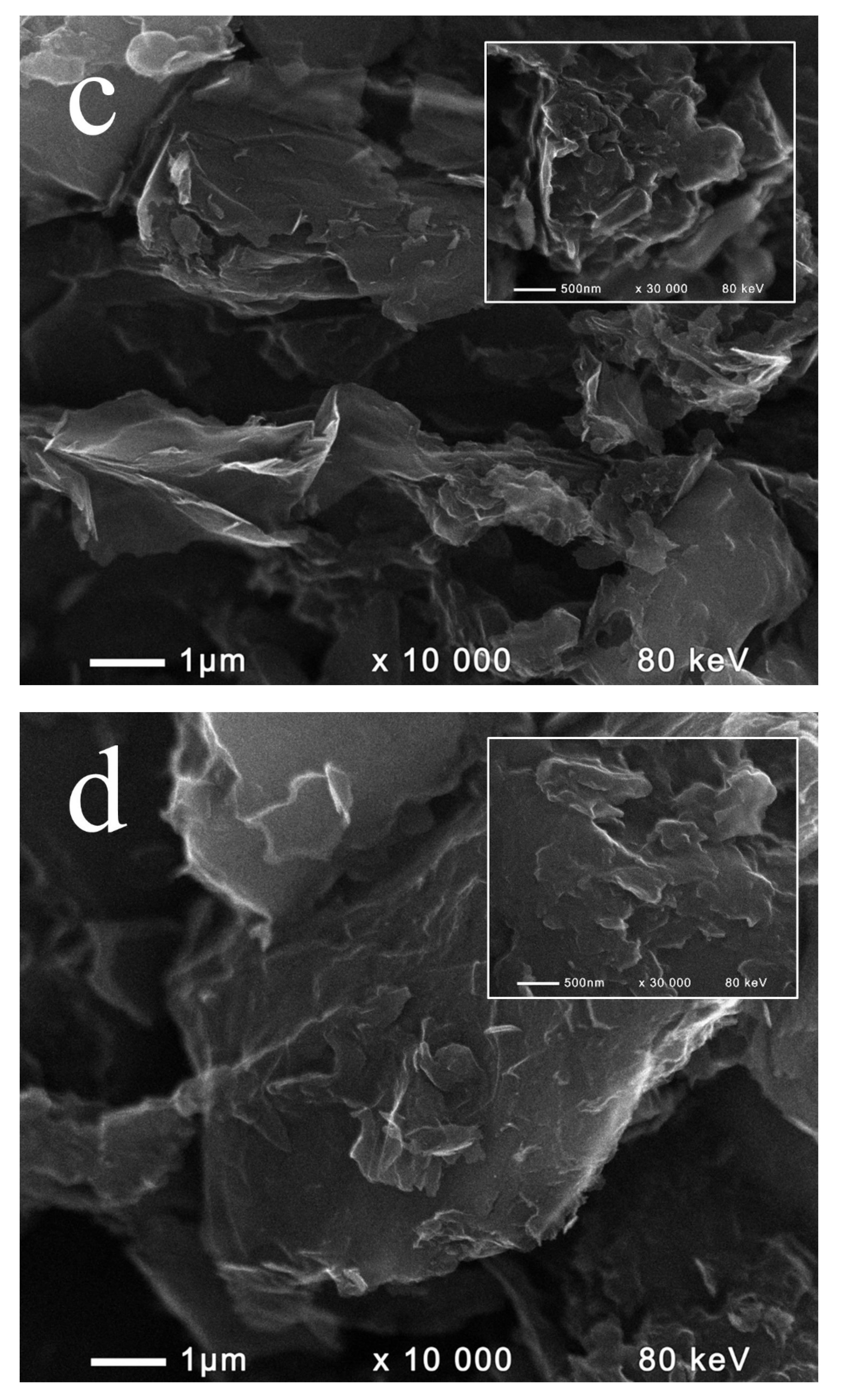 Catalysts 10 00796 g002b Catalysts 10 00796 g002b
