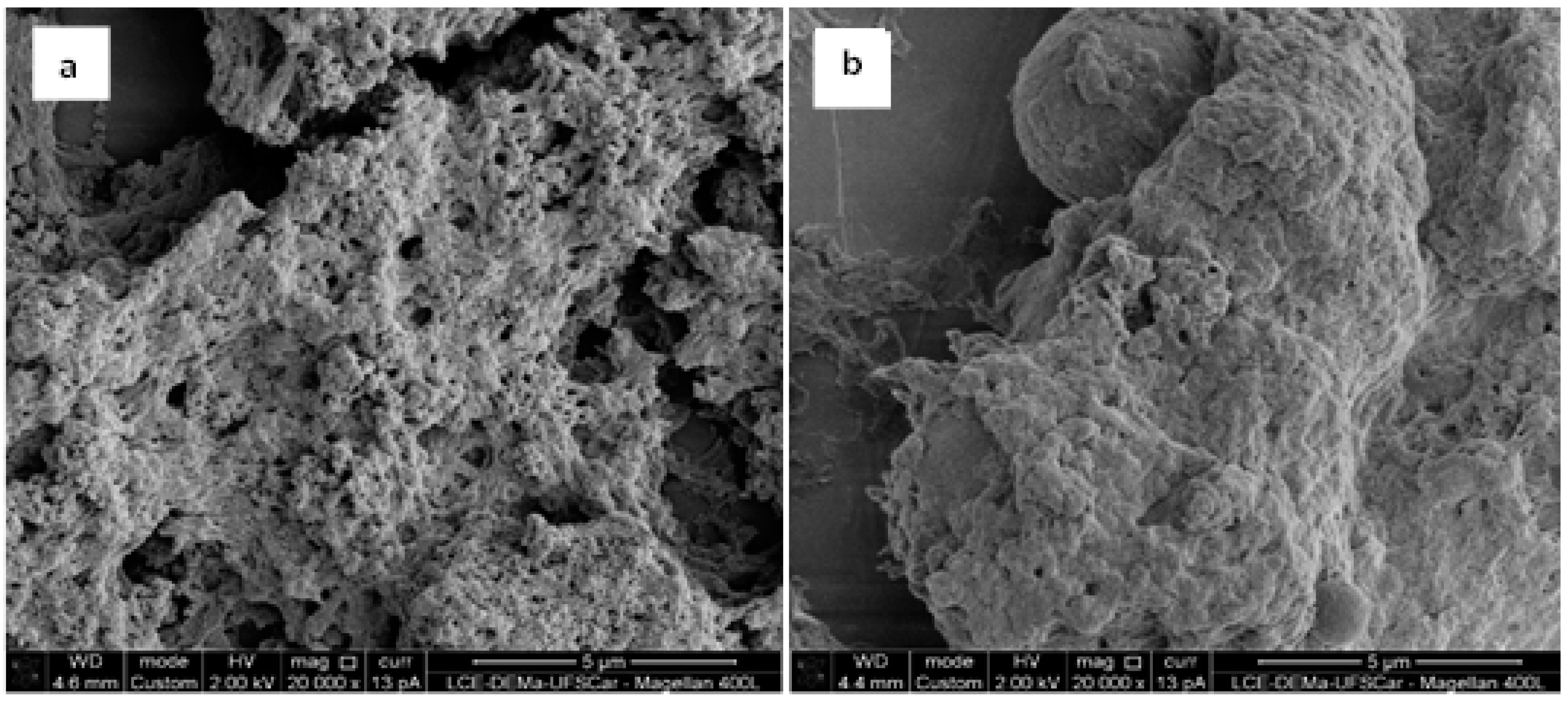 Catalysts 10 00817 g003 Catalysts 10 00817 g003