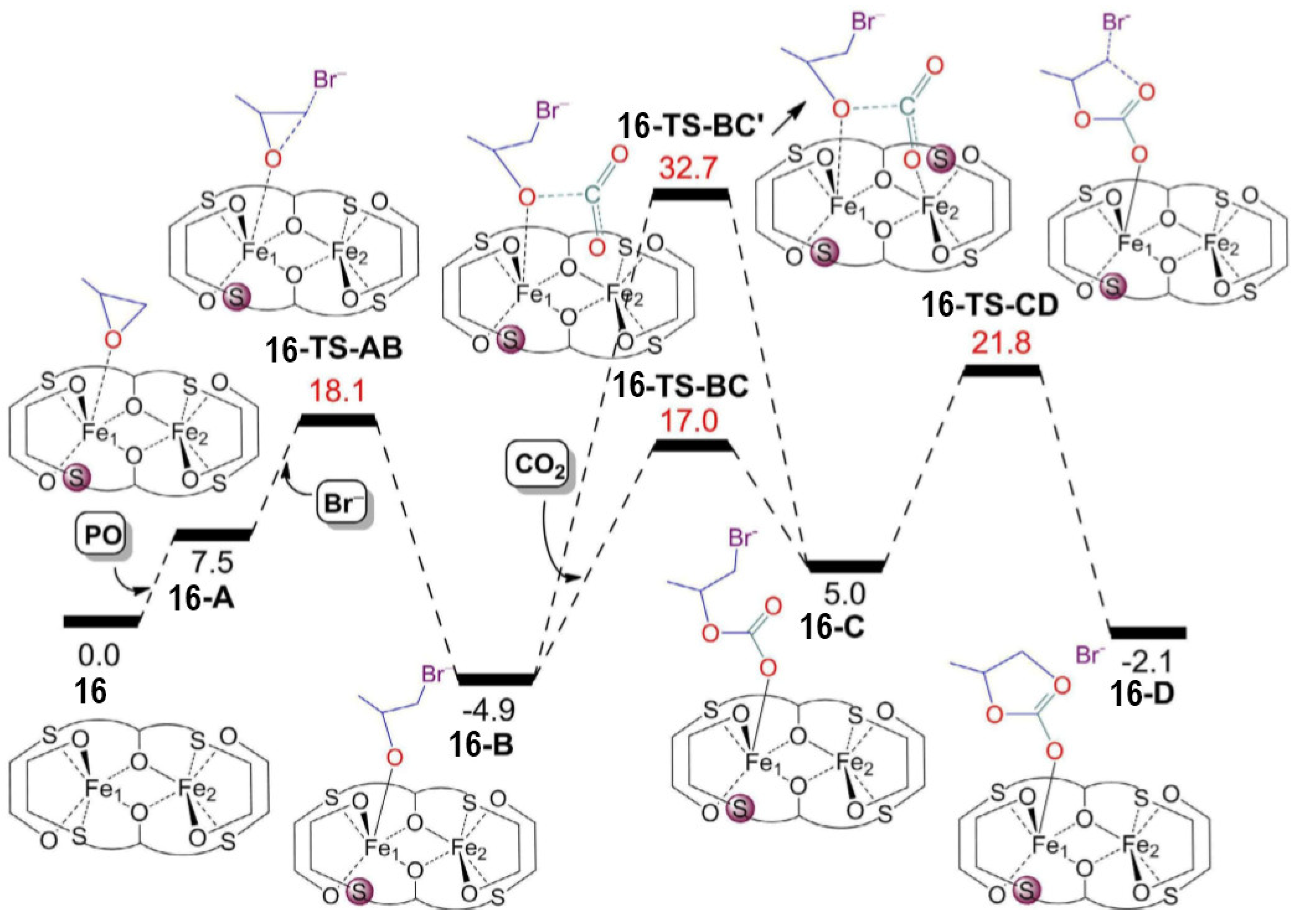 Catalysts 10 00825 g014