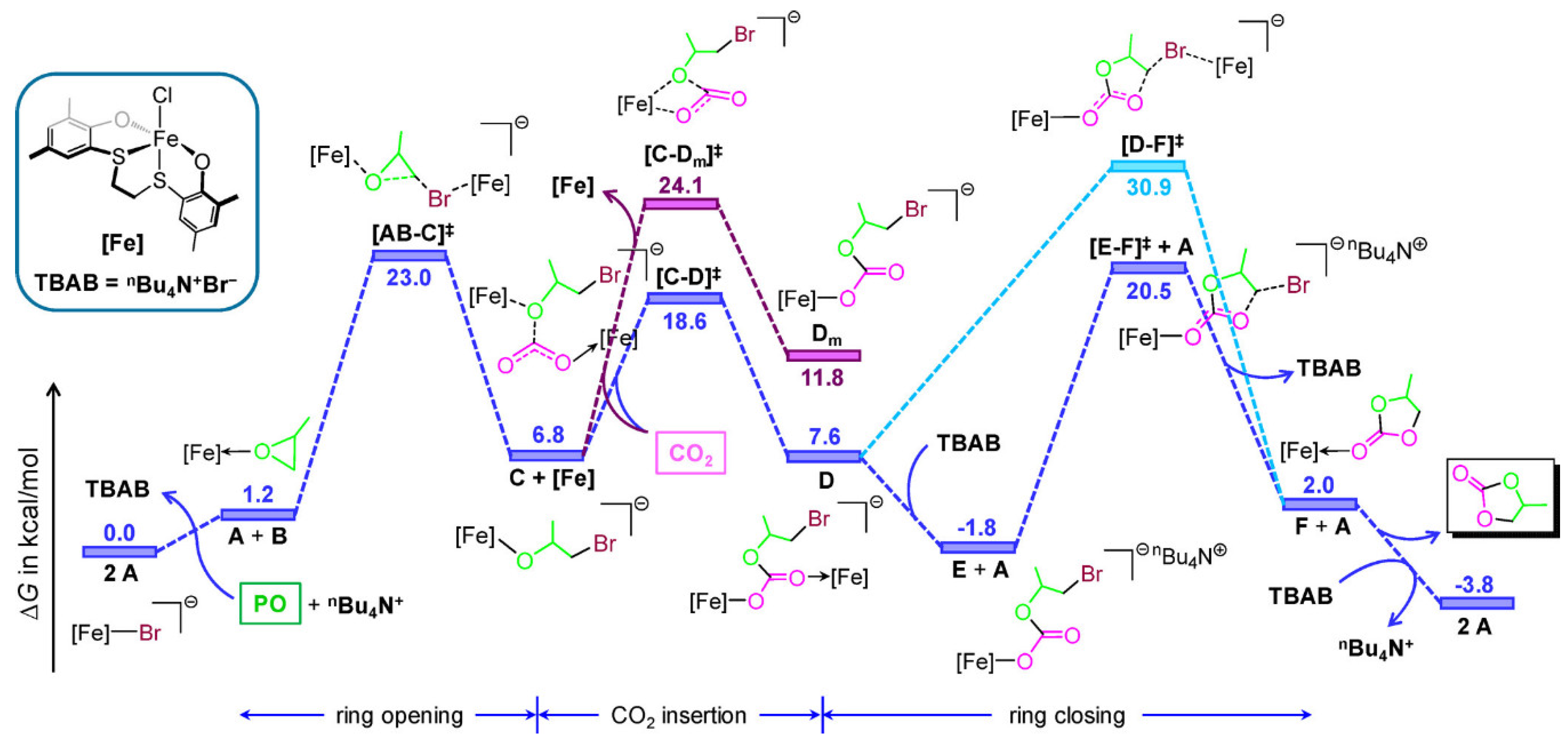 Catalysts 10 00825 g016