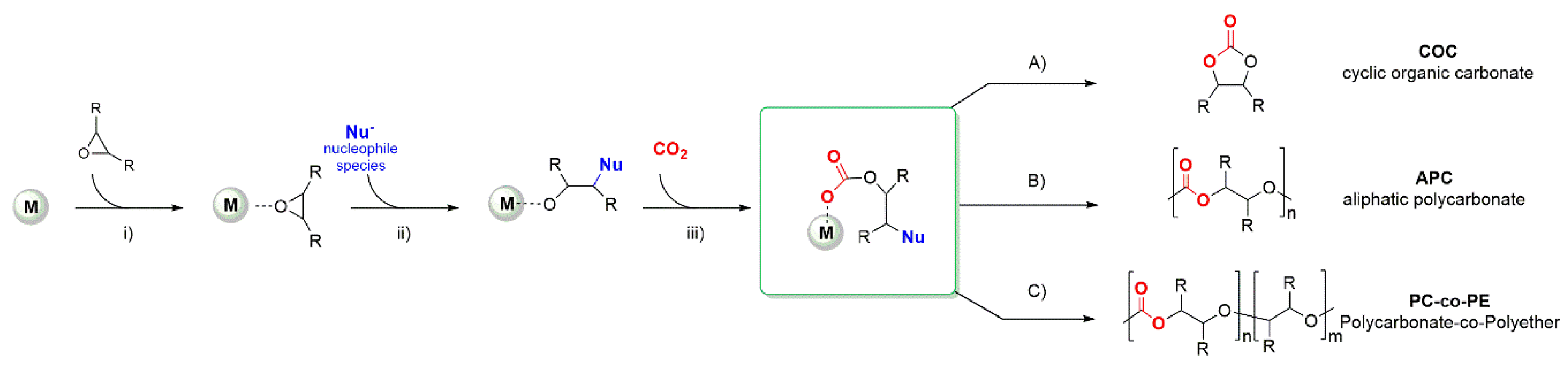 Catalysts 10 00825 sch001