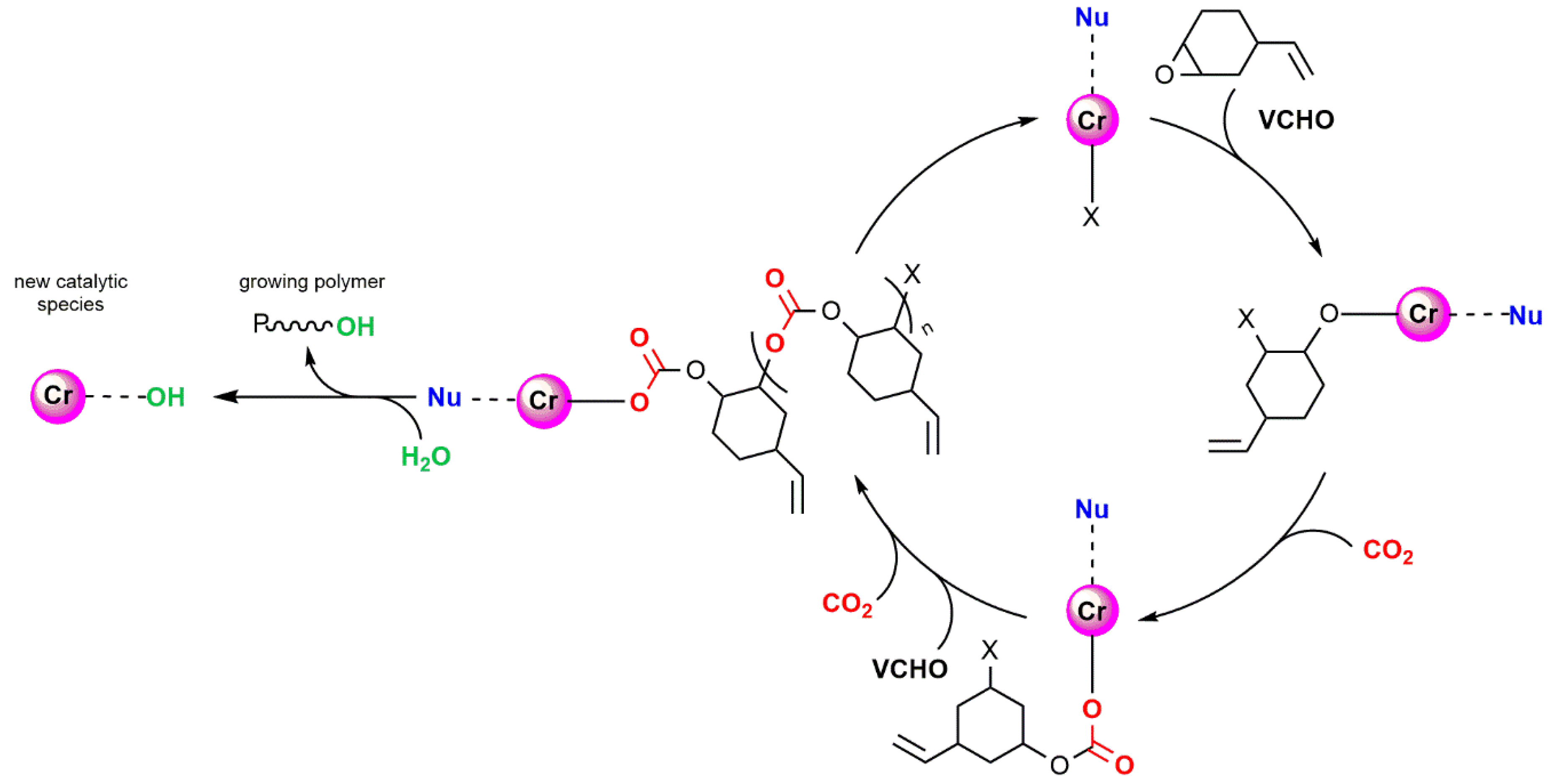 Catalysts 10 00825 sch002