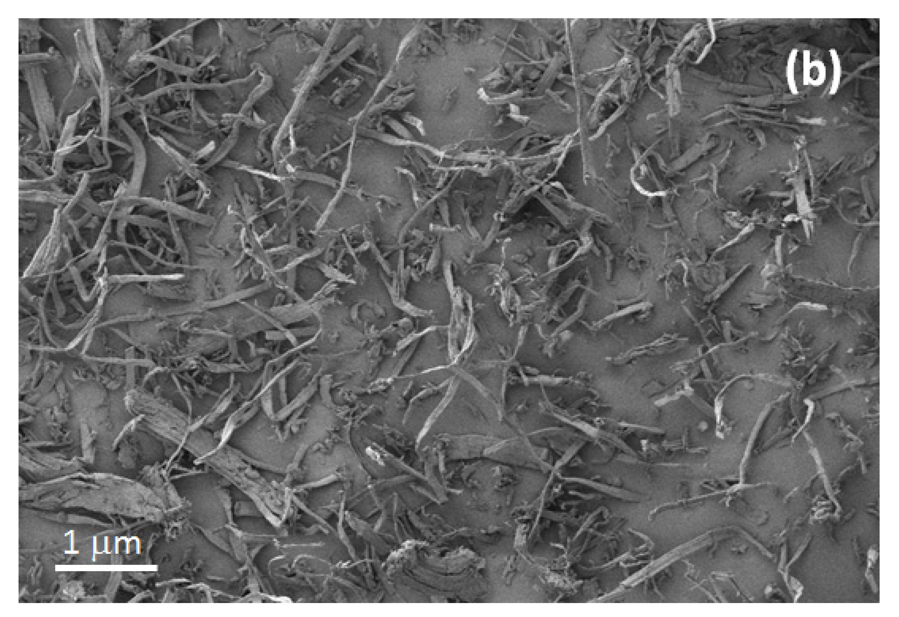 Catalysts 10 00831 g001b Catalysts 10 00831 g001b