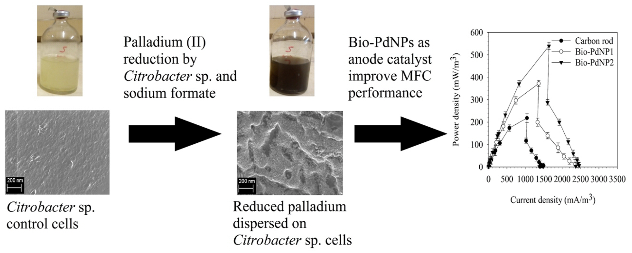 Catalysts | Free Full-Text | Synthesis of Biogenic Palladium Nanoparticles  Using Citrobacter sp. for Application as Anode Electrocatalyst in a  Microbial Fuel Cell