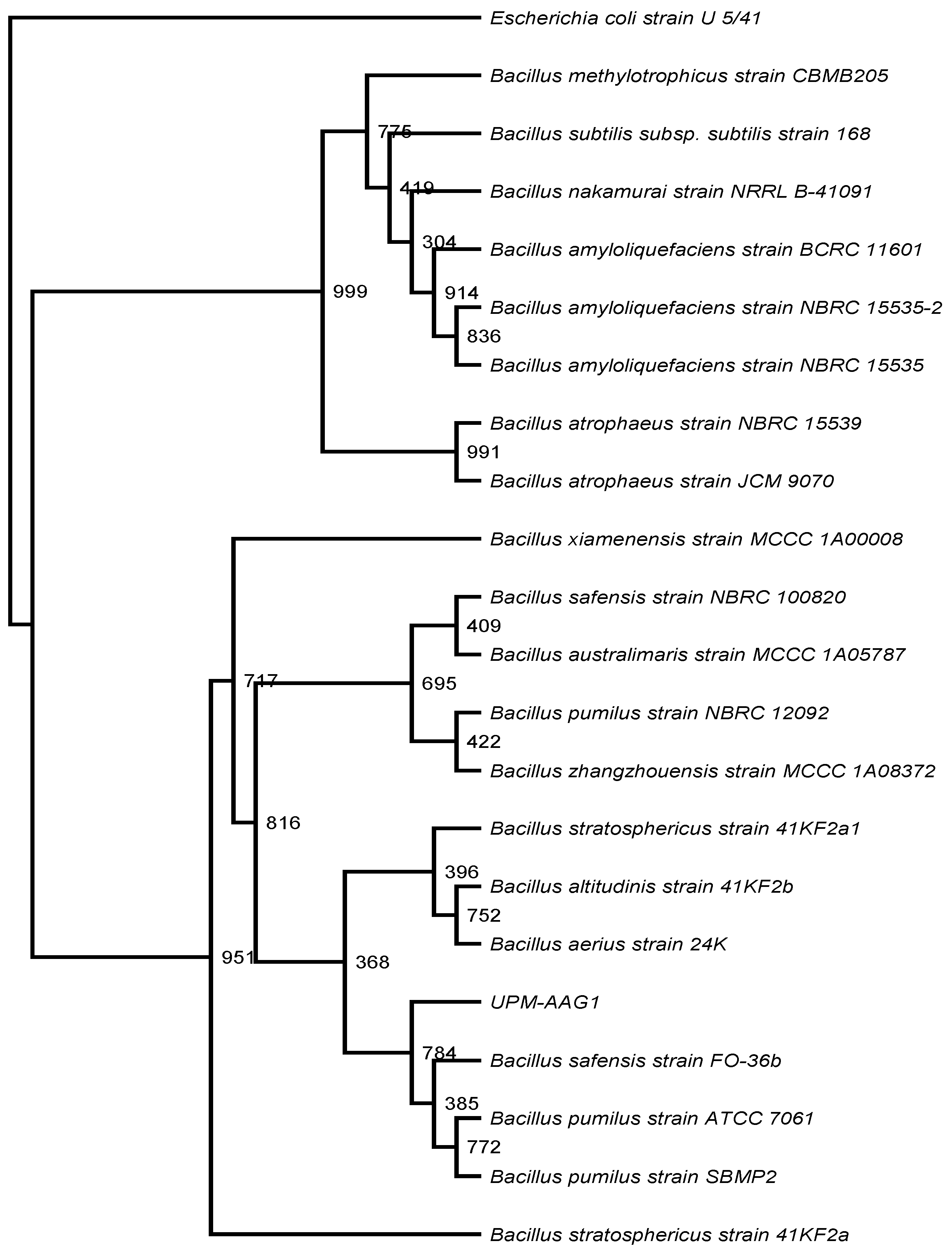 Catalysts 10 00848 g002 Catalysts 10 00848 g002