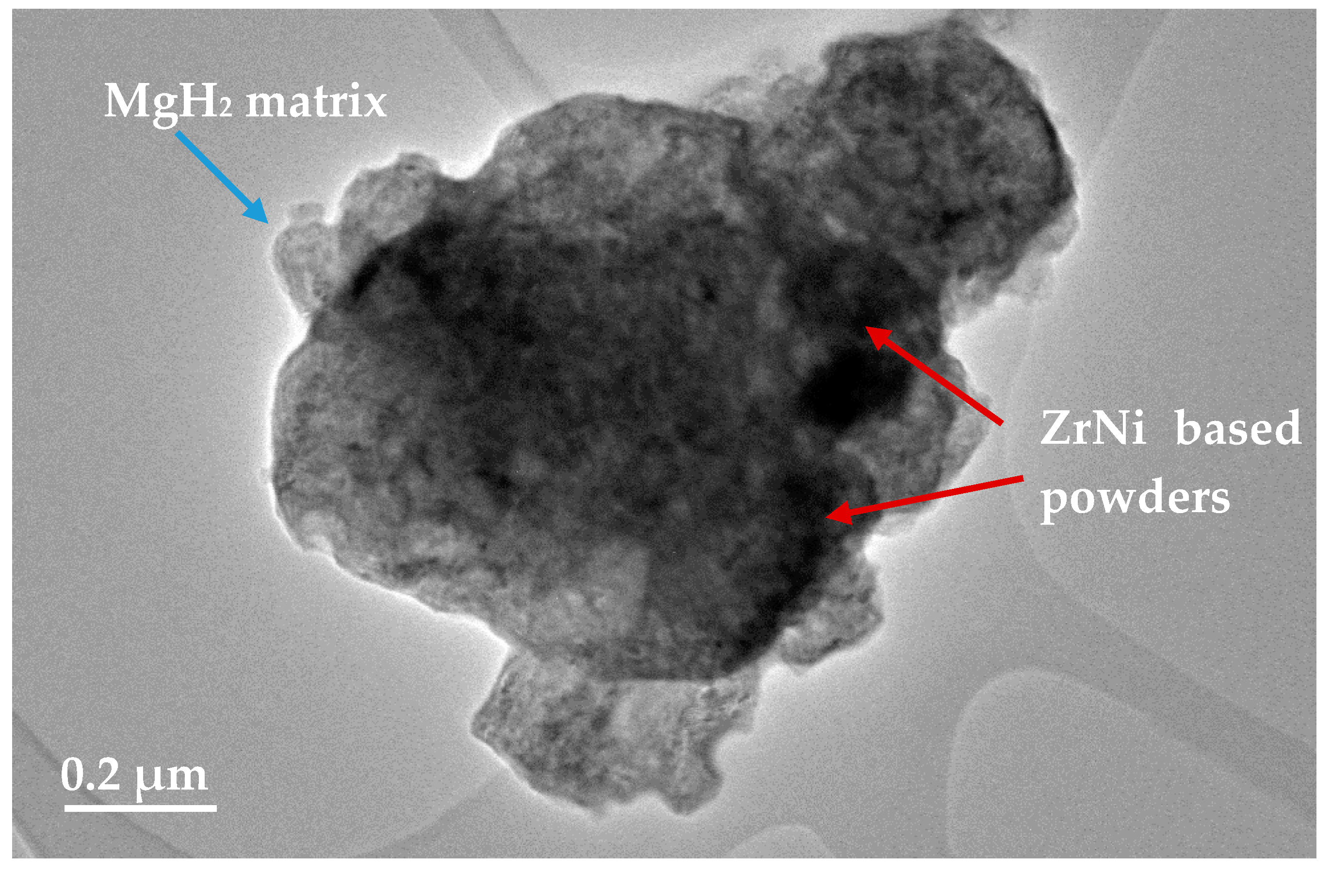 Catalysts 10 00849 g010 Catalysts 10 00849 g010