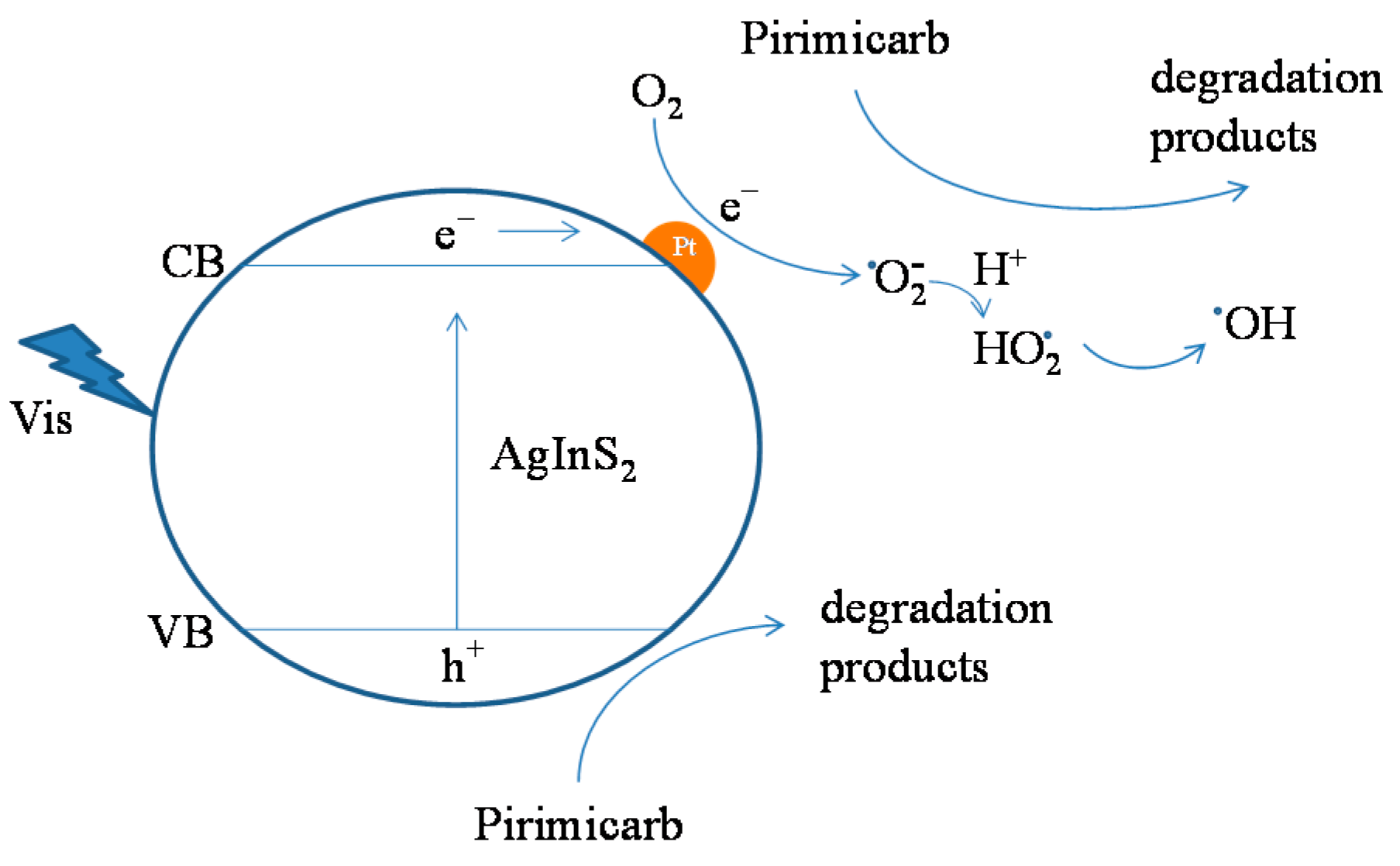Catalysts 10 00857 g012