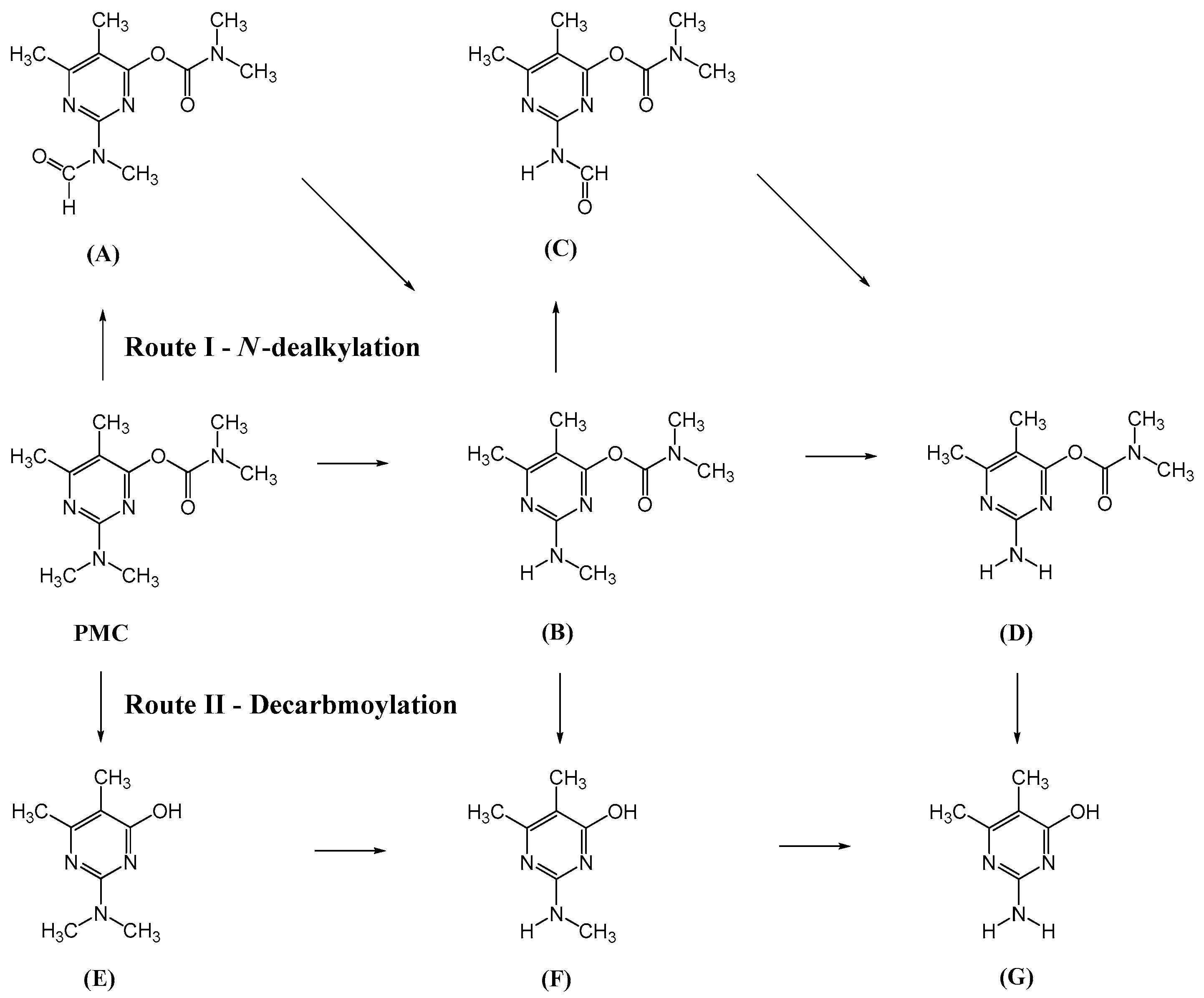 Catalysts 10 00857 g014