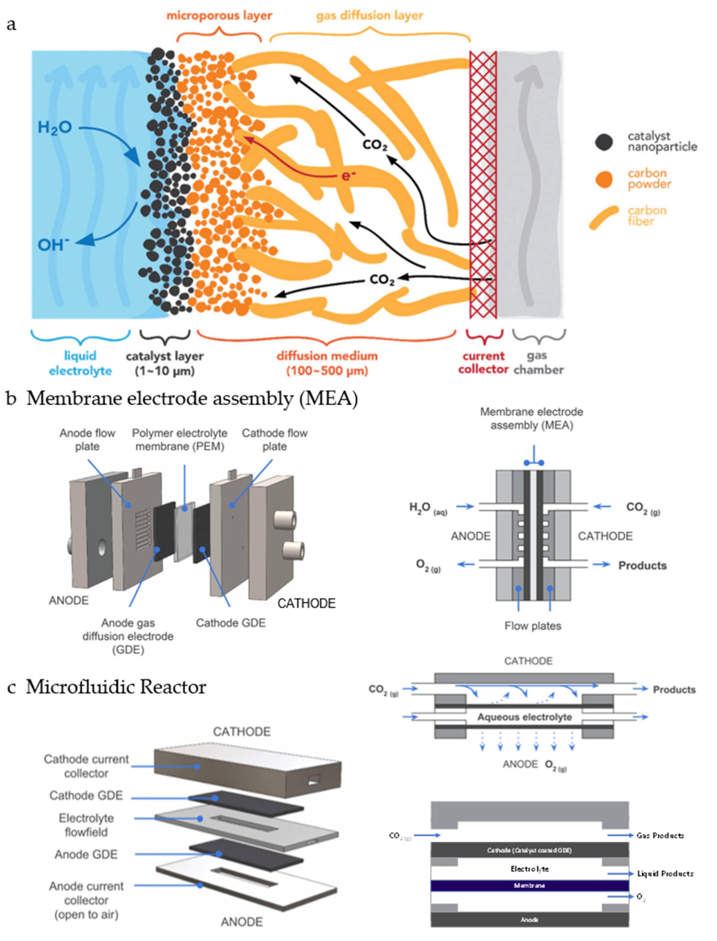 Catalysts 10 00859 g010 Catalysts 10 00859 g010