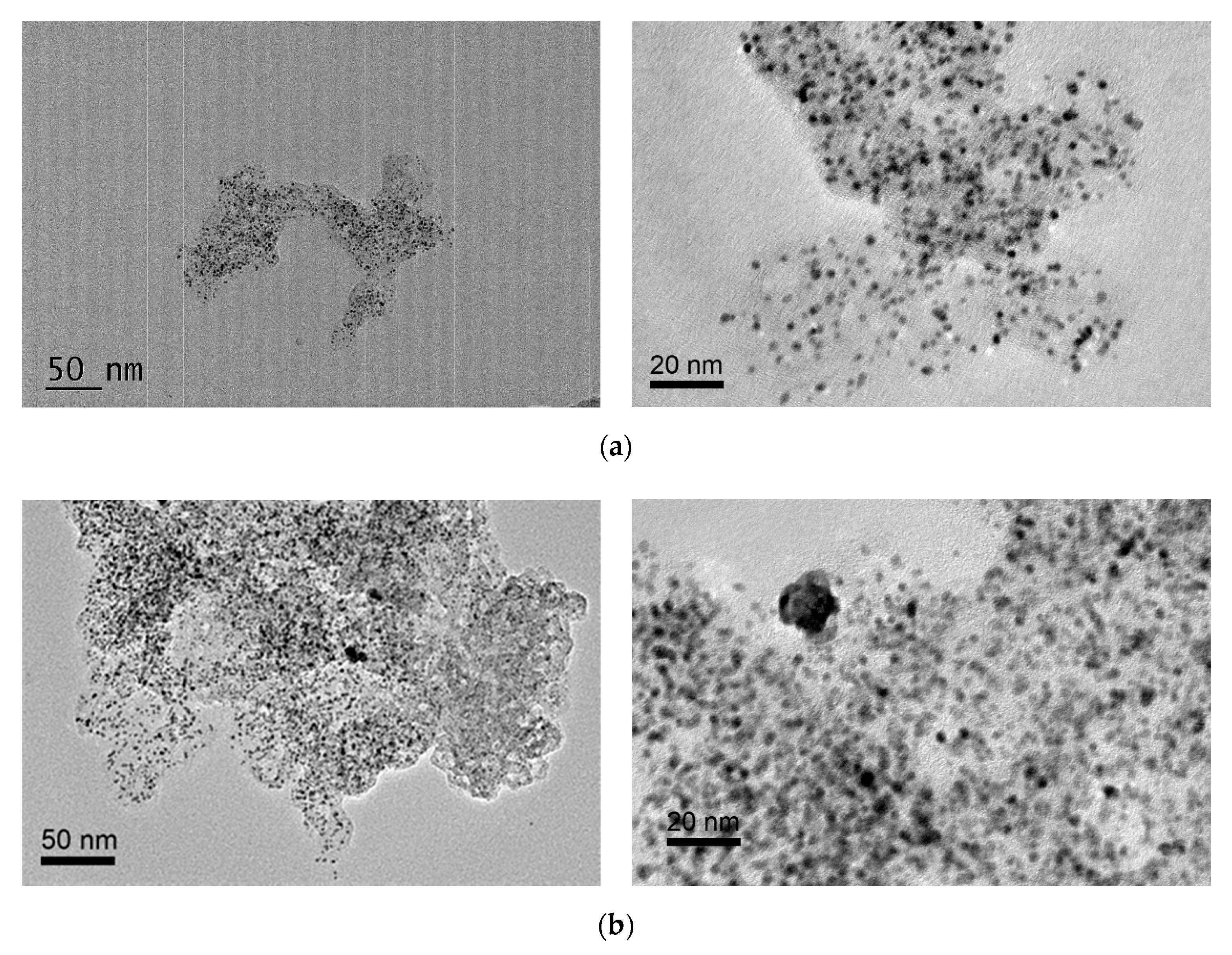 Catalysts 10 00862 g007