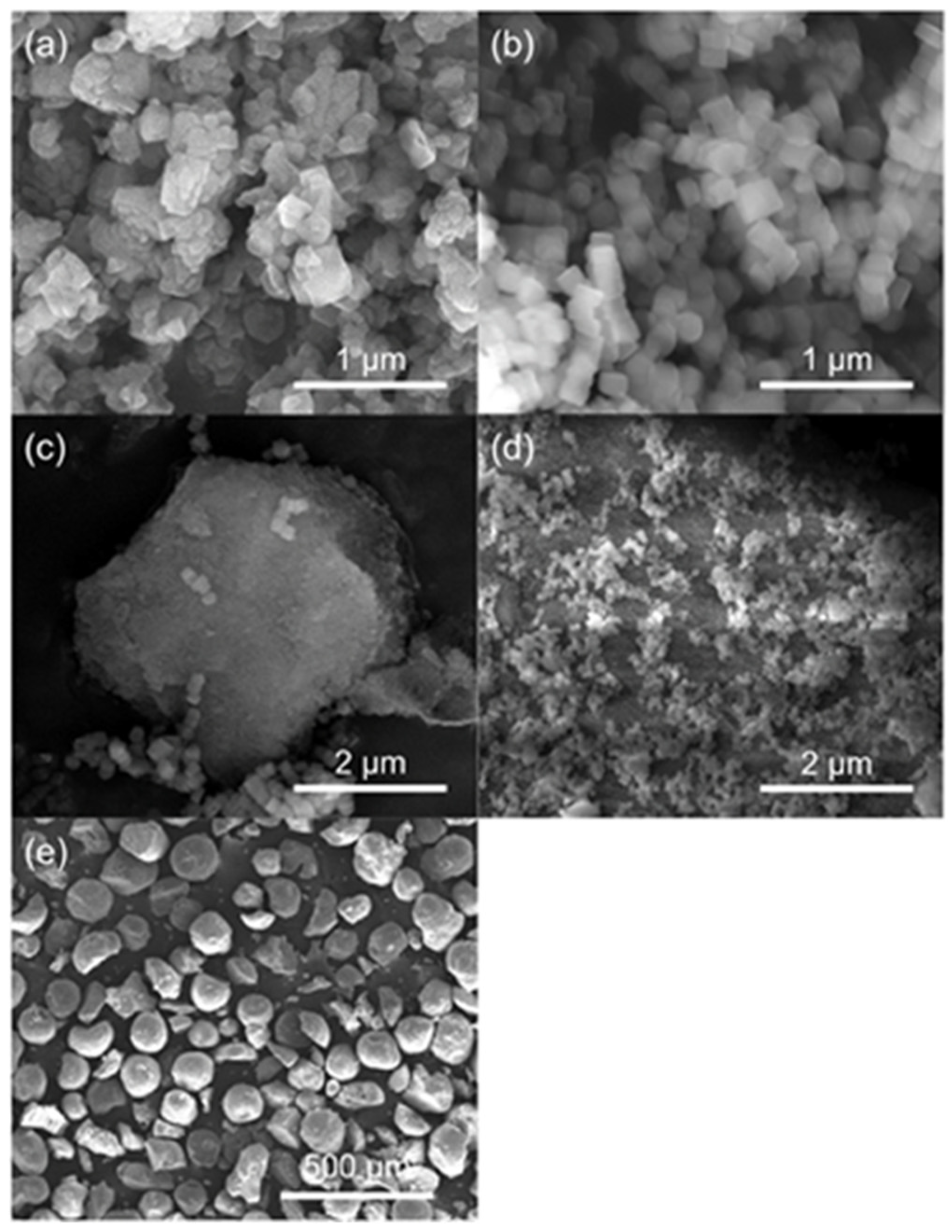 Catalysts 10 00879 g004
