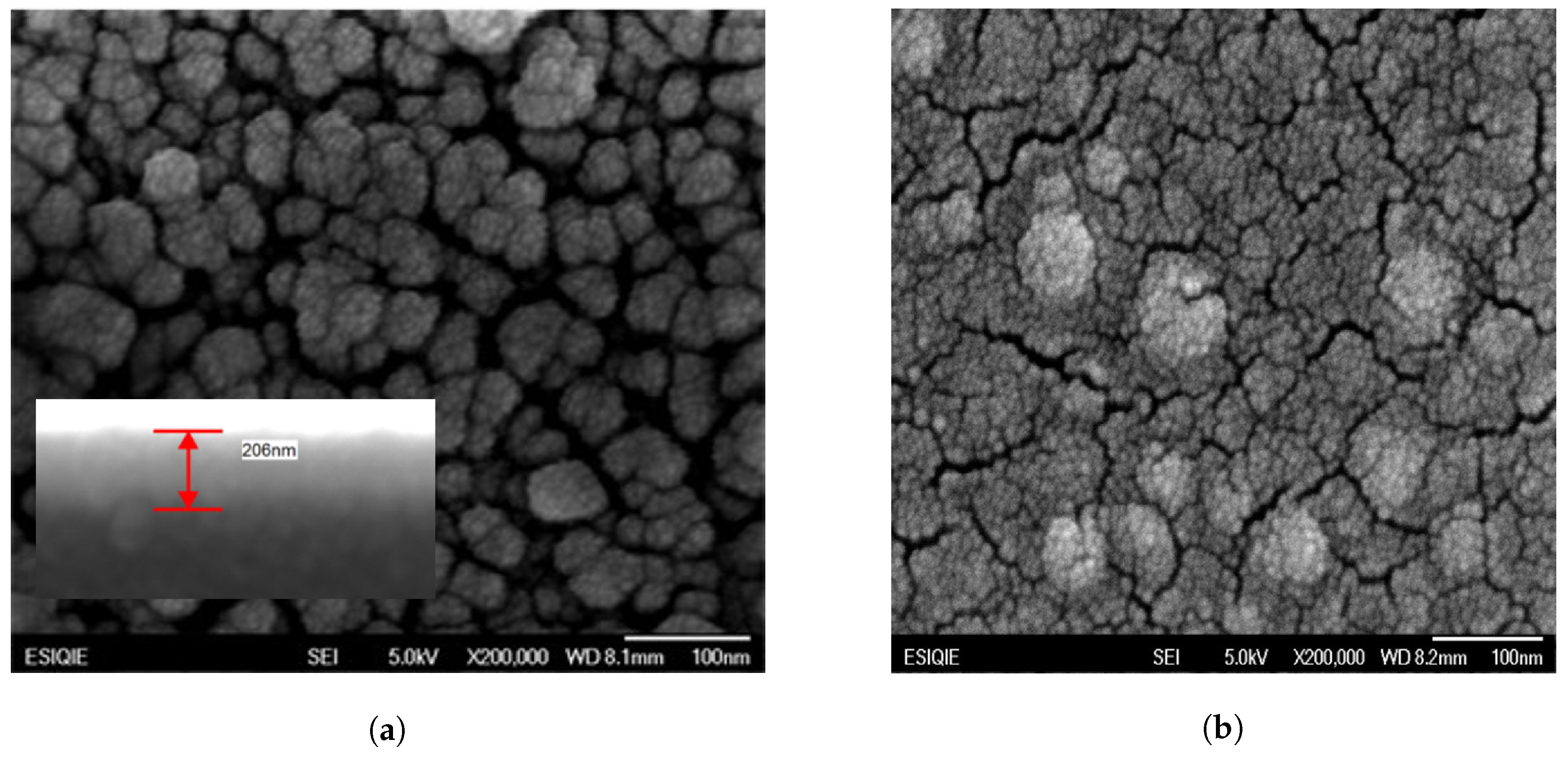 Catalysts 10 00884 g003