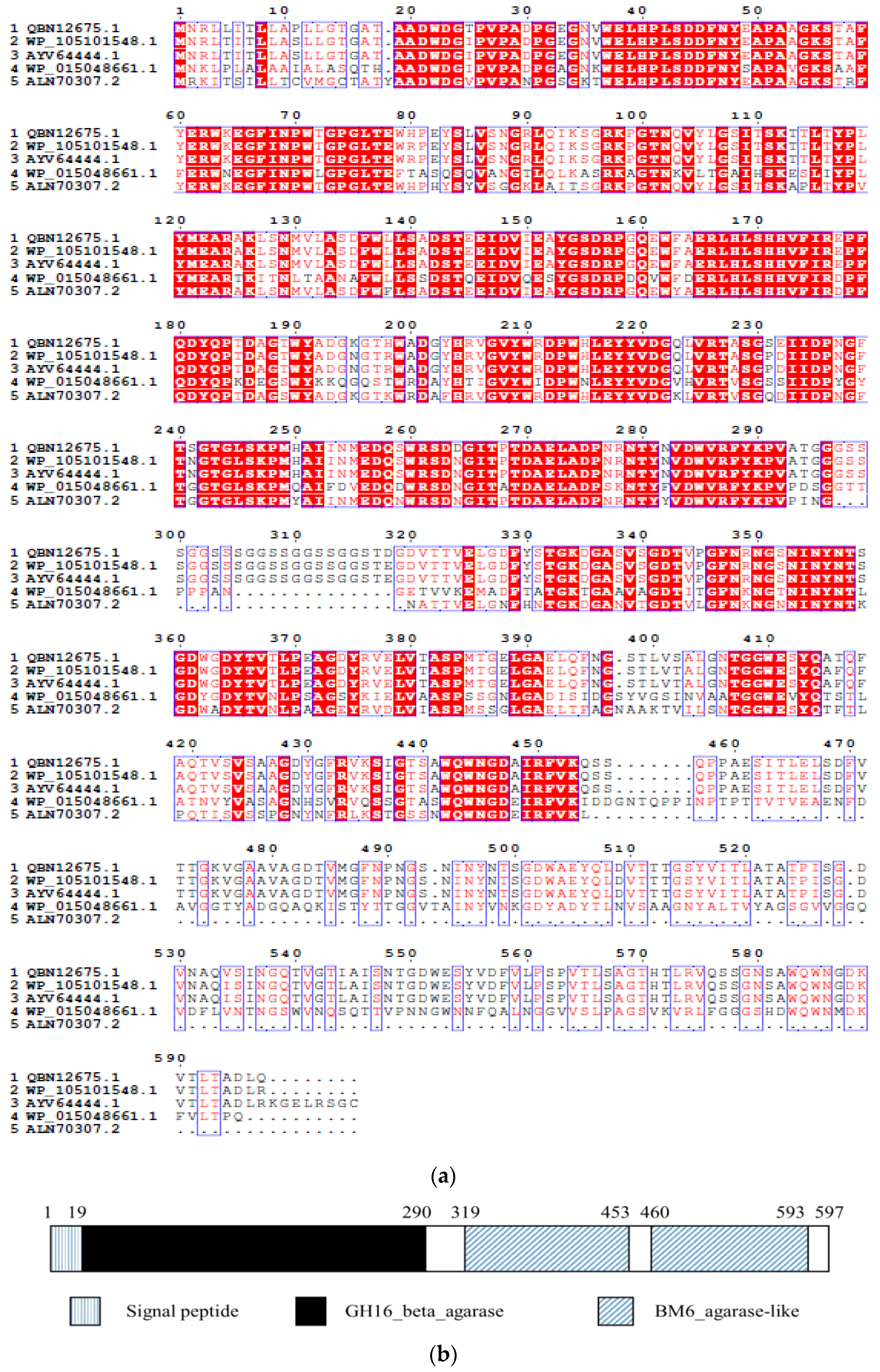 Catalysts Free Full Text Expression And Characterization Of A Gh16 Family B Agarase Derived From The Marine Bacterium Microbulbifer Sp Bn3 And Its Efficient Hydrolysis Of Agar Using Raw Agar Producing Red Seaweeds