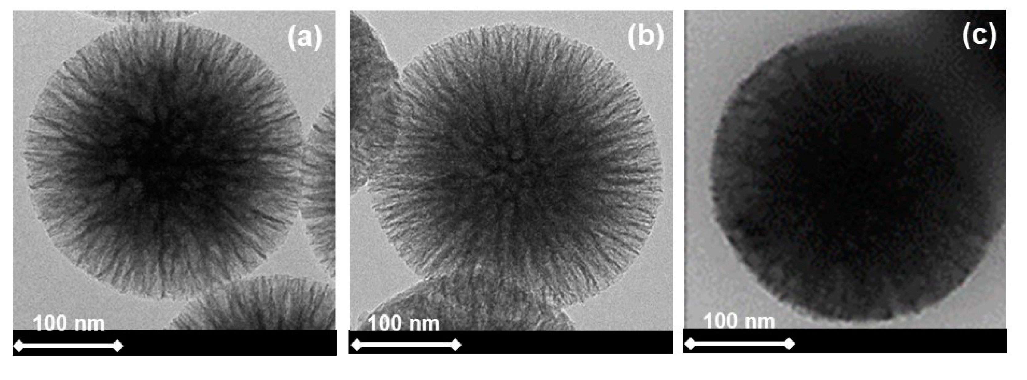 Catalysts 10 00889 g001