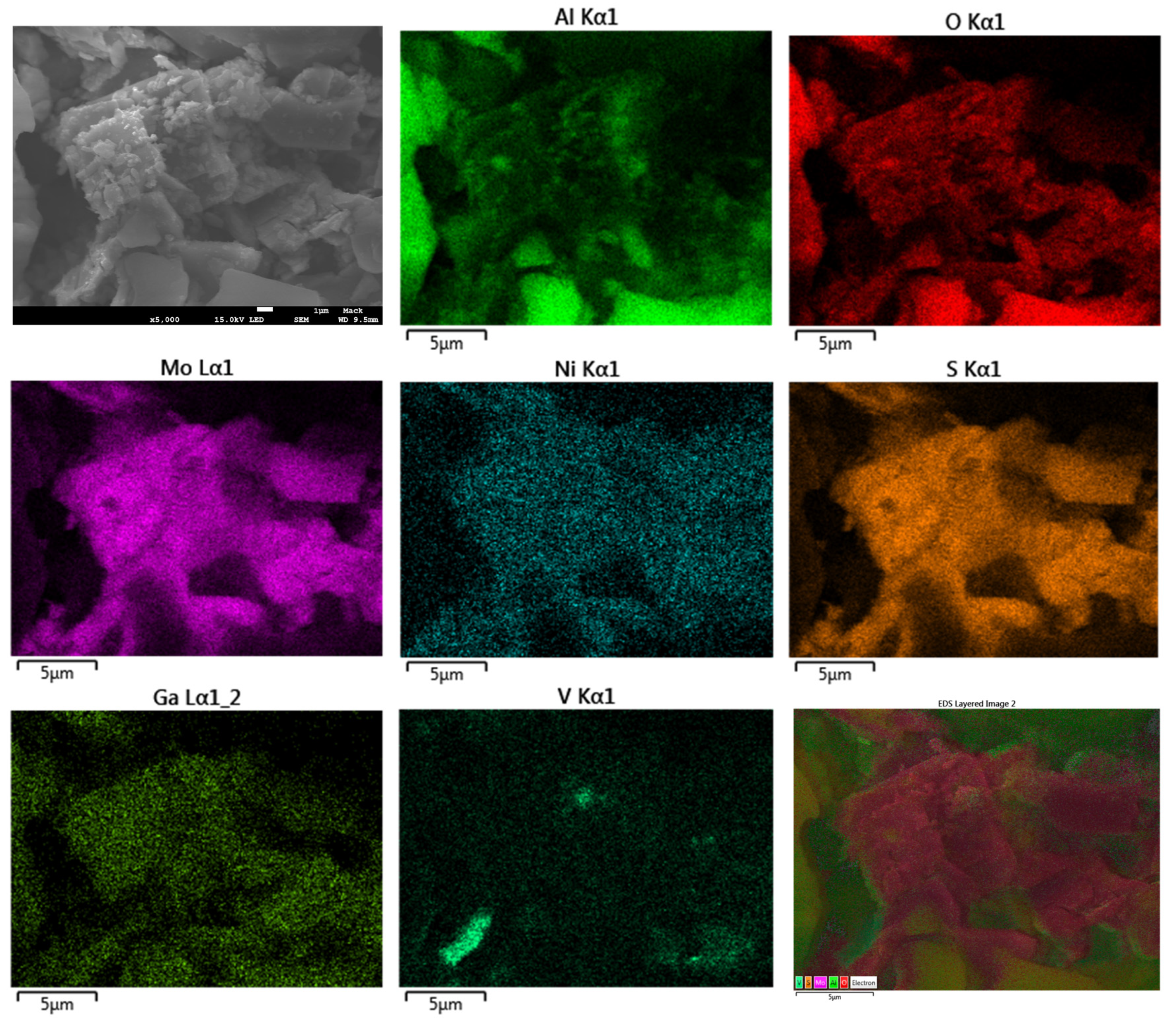 Catalysts 10 00894 g004