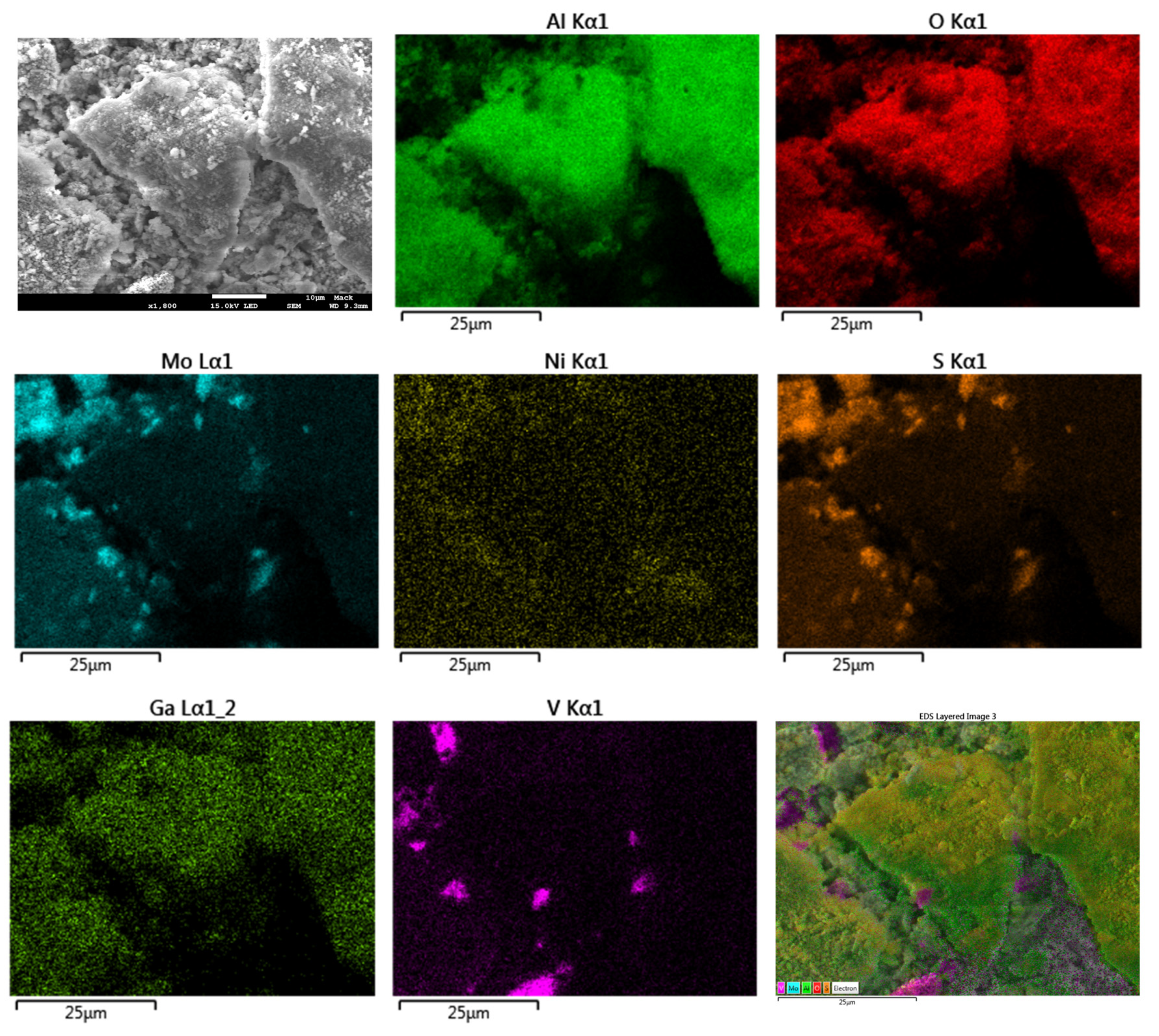 Catalysts 10 00894 g005