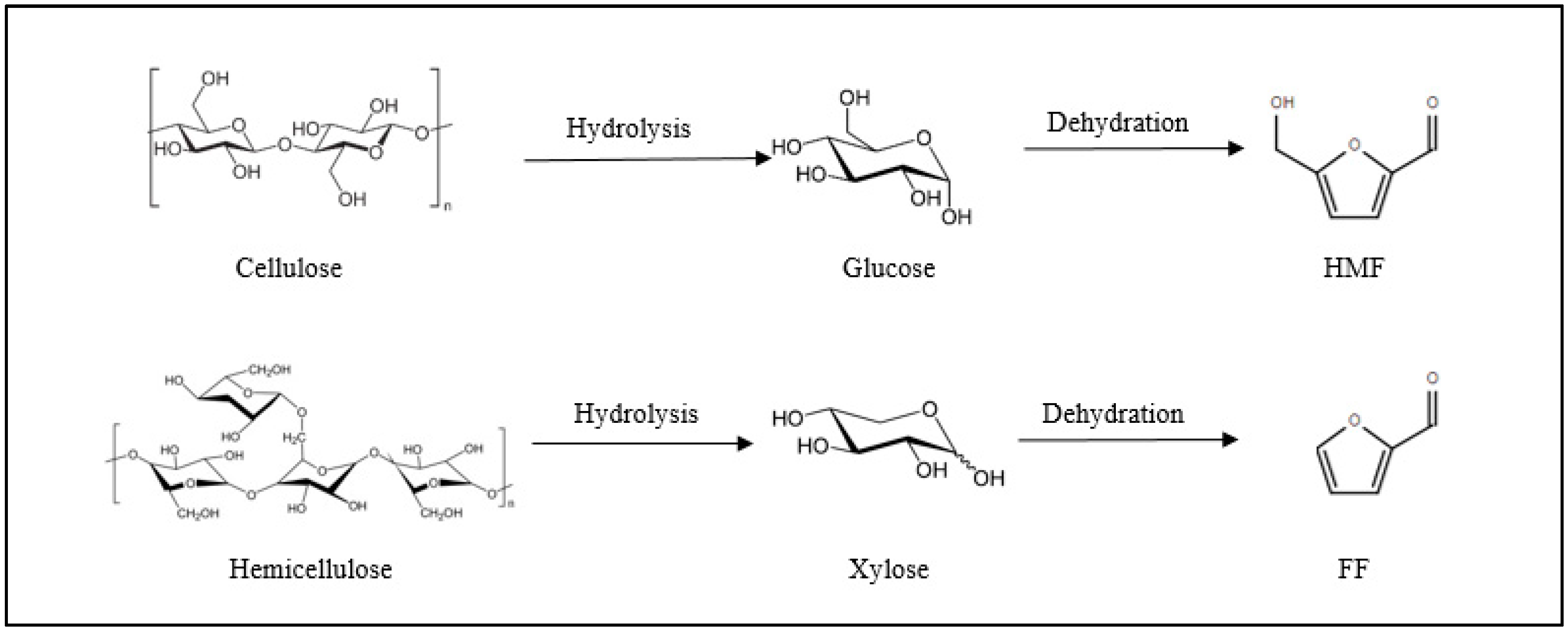 Catalysts 10 00895 g003