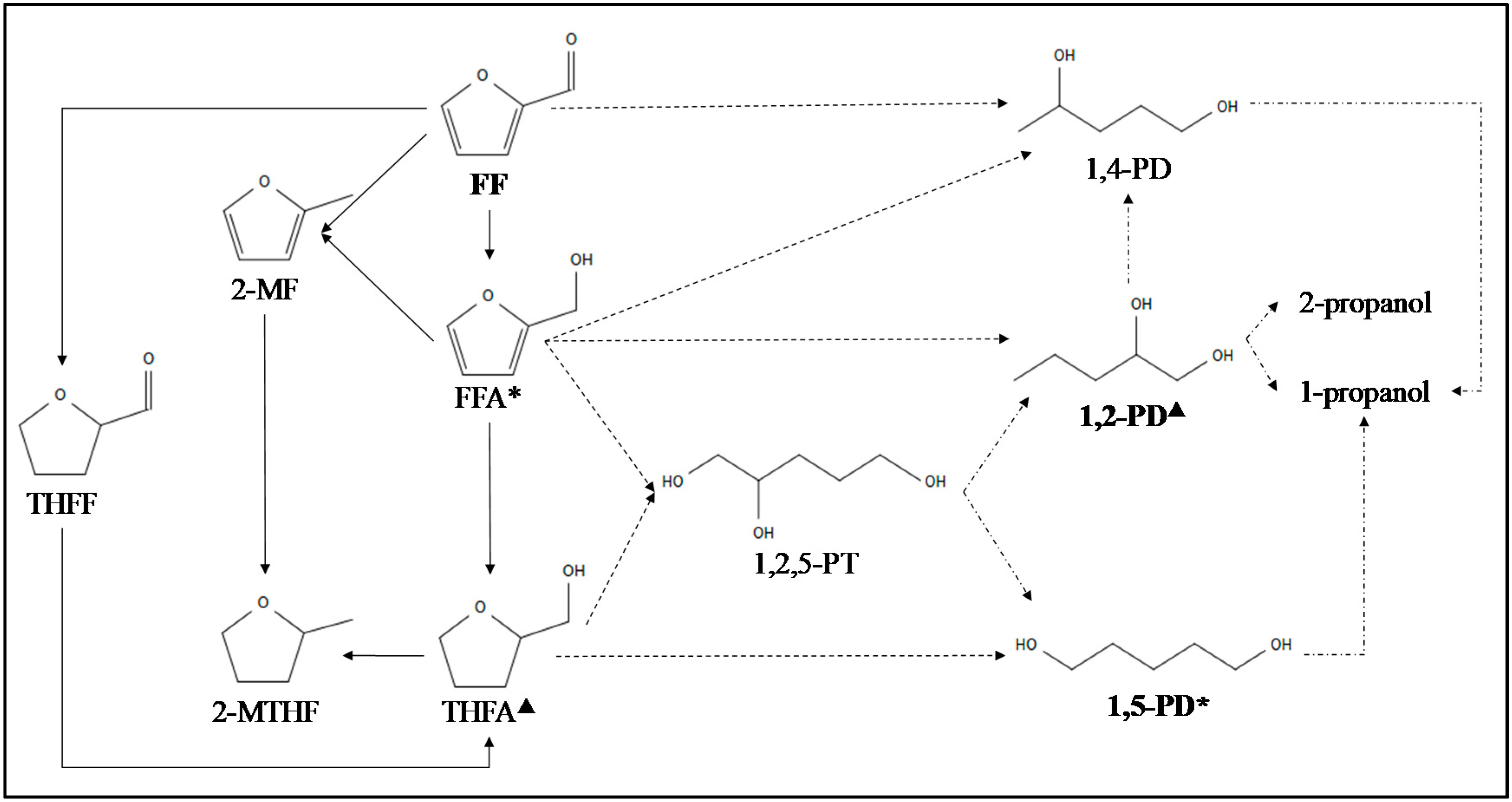 Catalysts 10 00895 g005