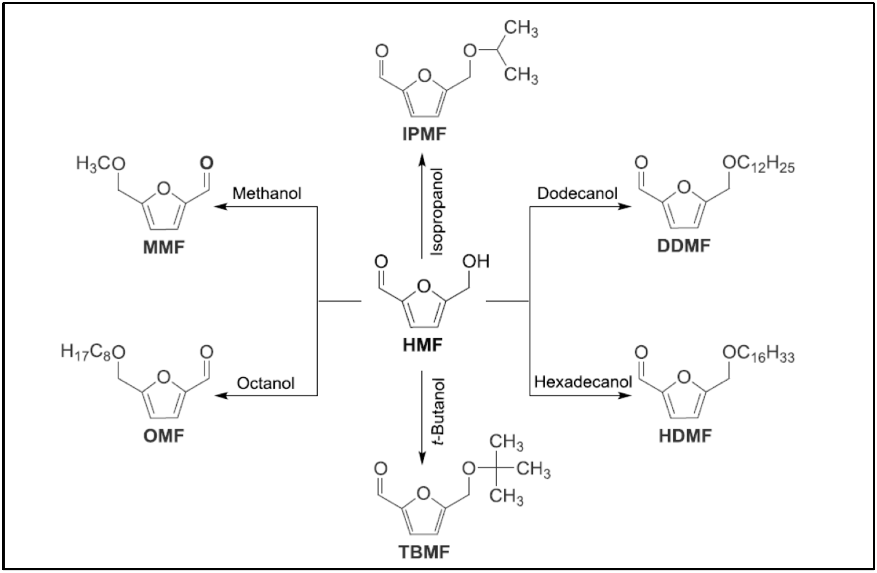 Catalysts 10 00895 g006