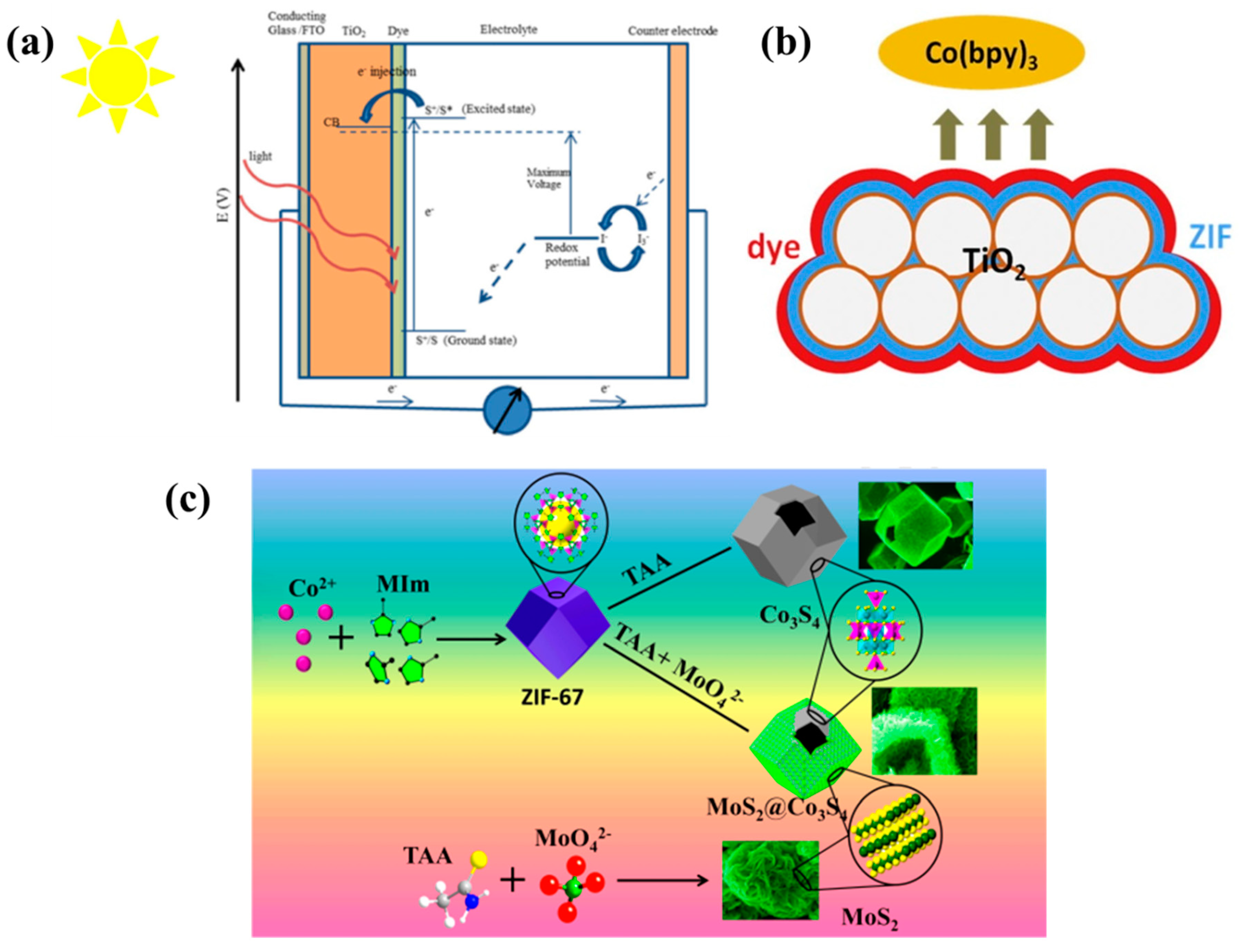 Catalysts 10 00897 g001 Catalysts 10 00897 g001