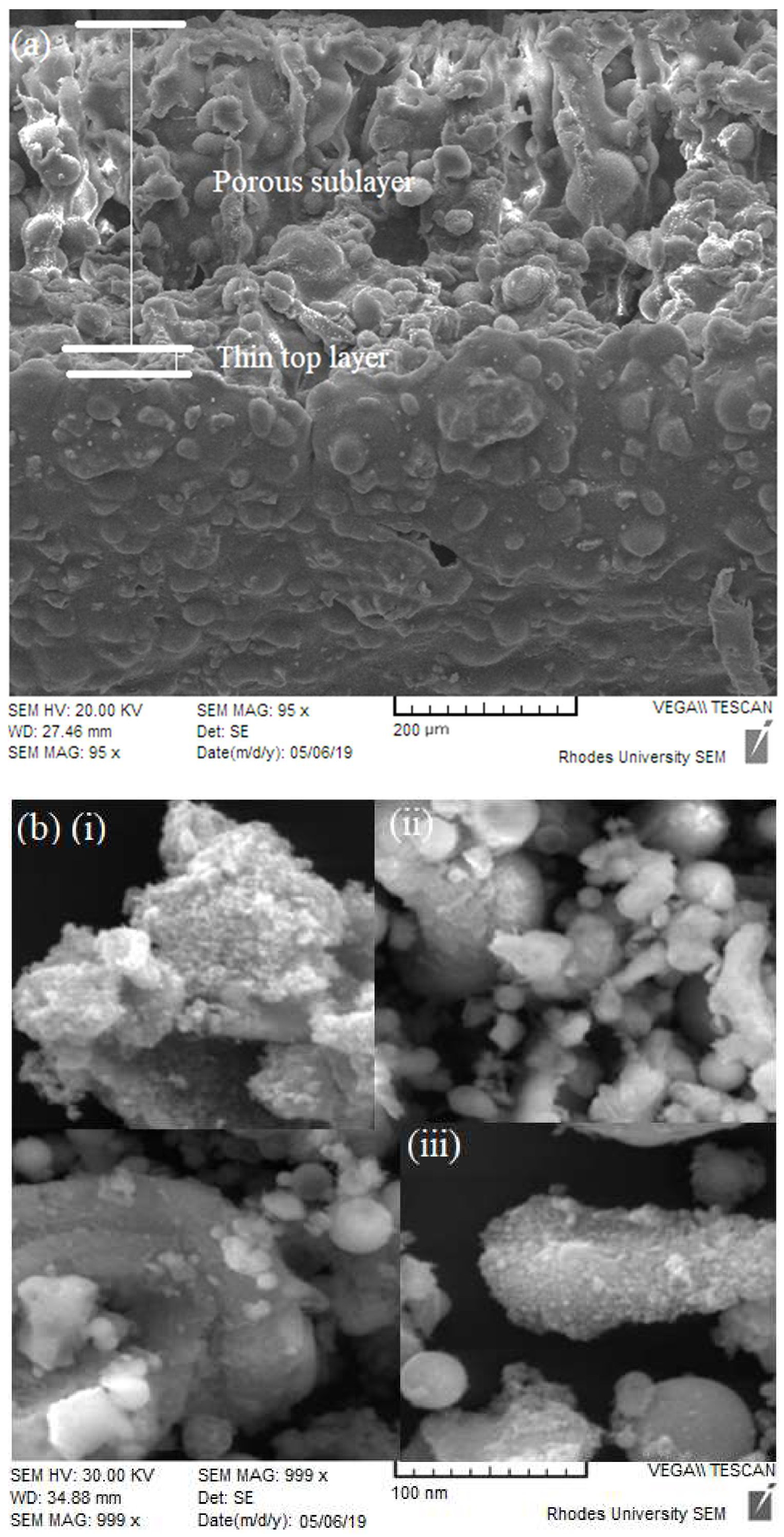 Catalysts 10 00909 g003 Catalysts 10 00909 g003