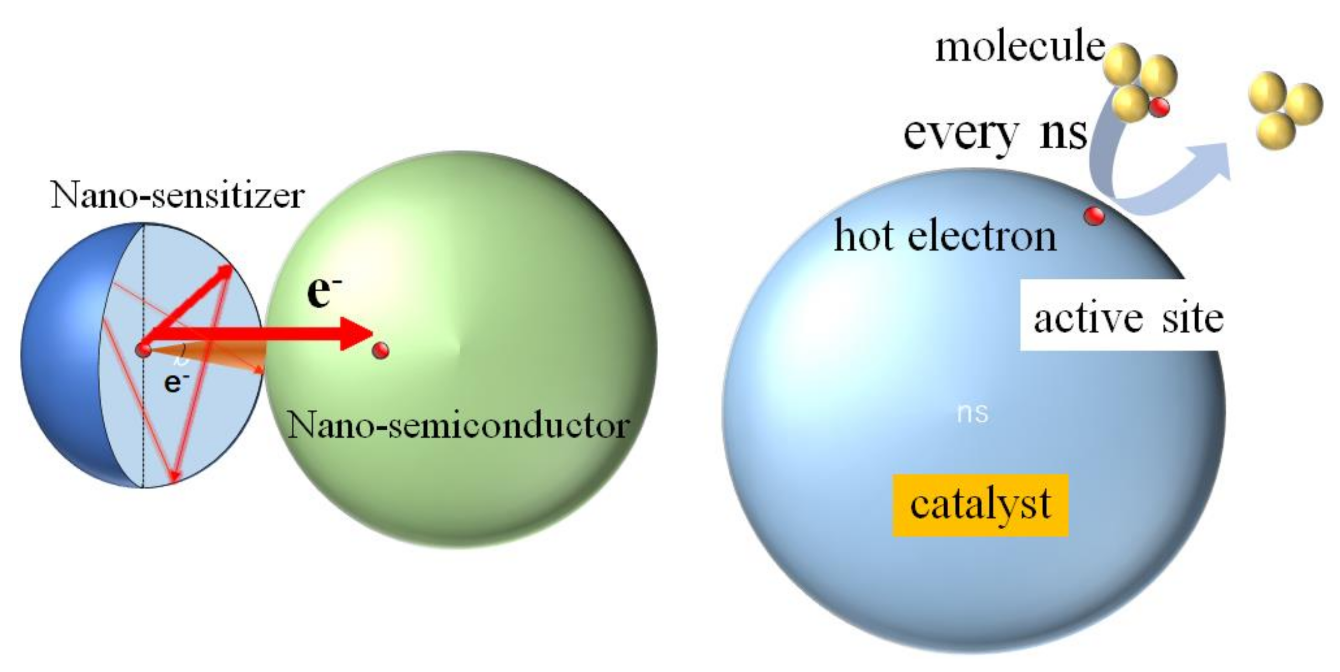 Catalysts 10 00916 g001