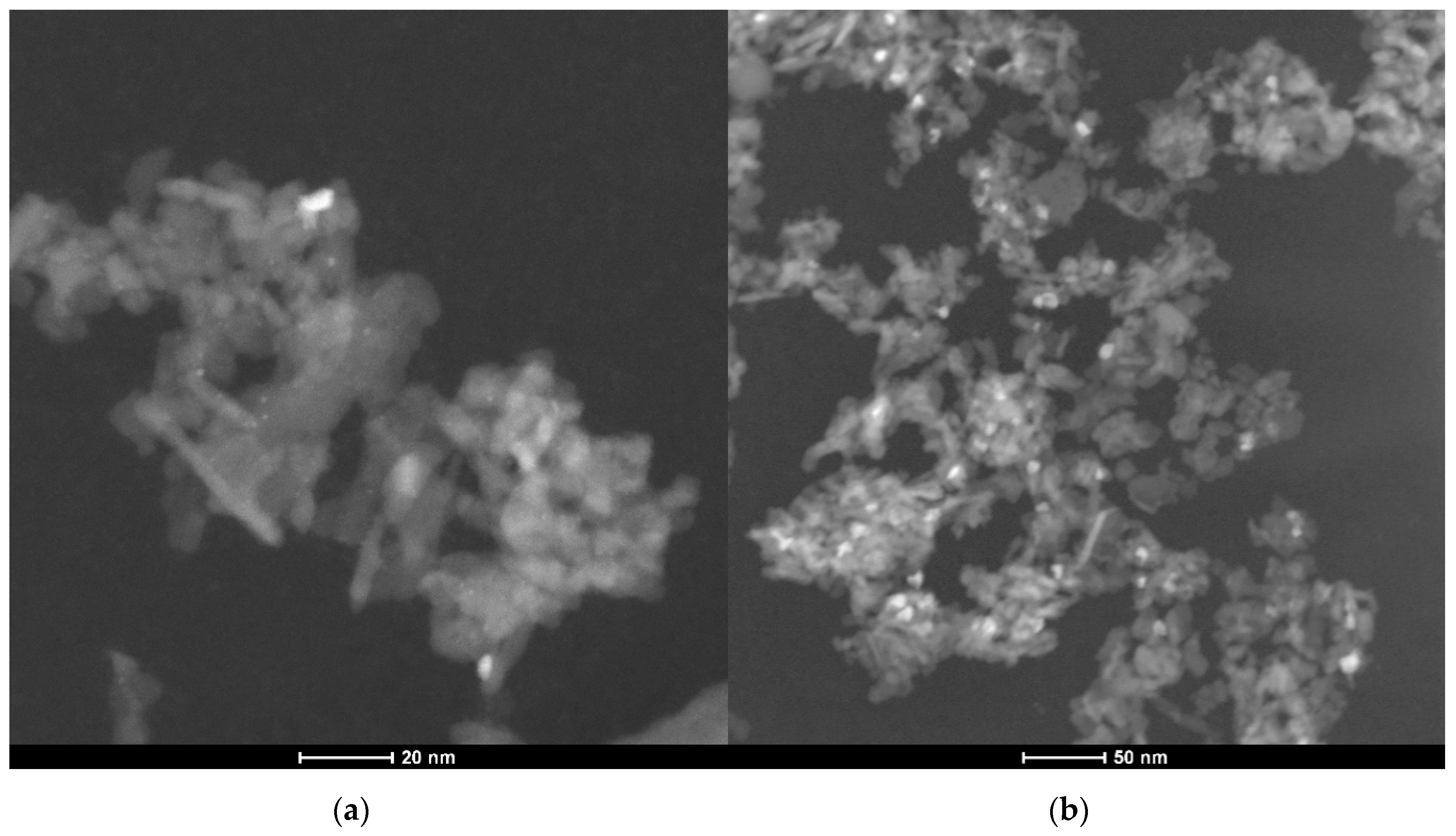 Catalysts 10 00922 g003 Catalysts 10 00922 g003