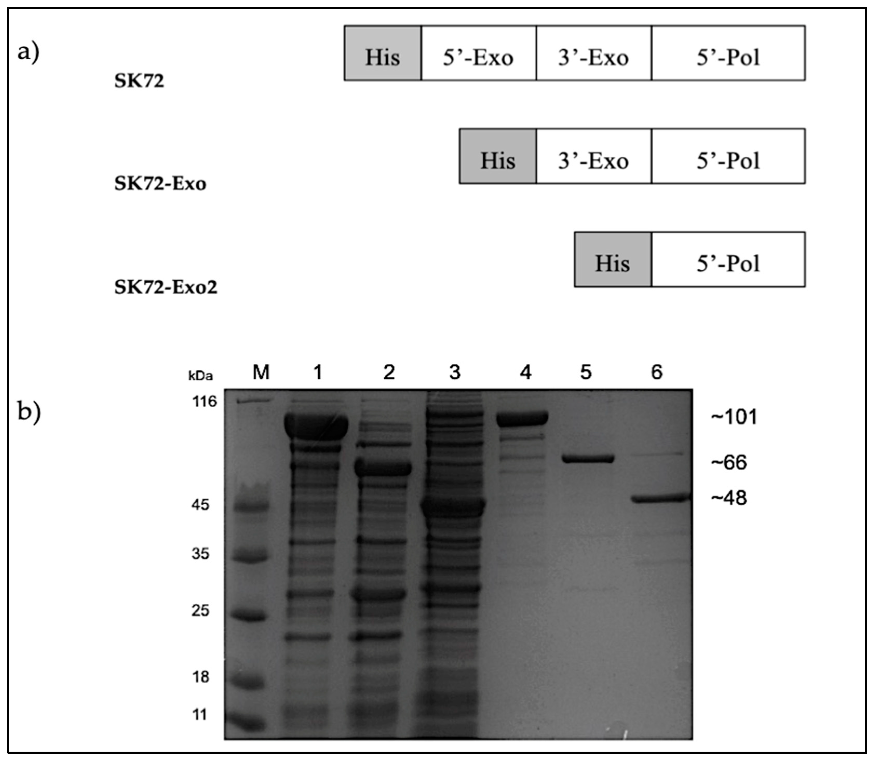 Catalysts 10 00936 g003