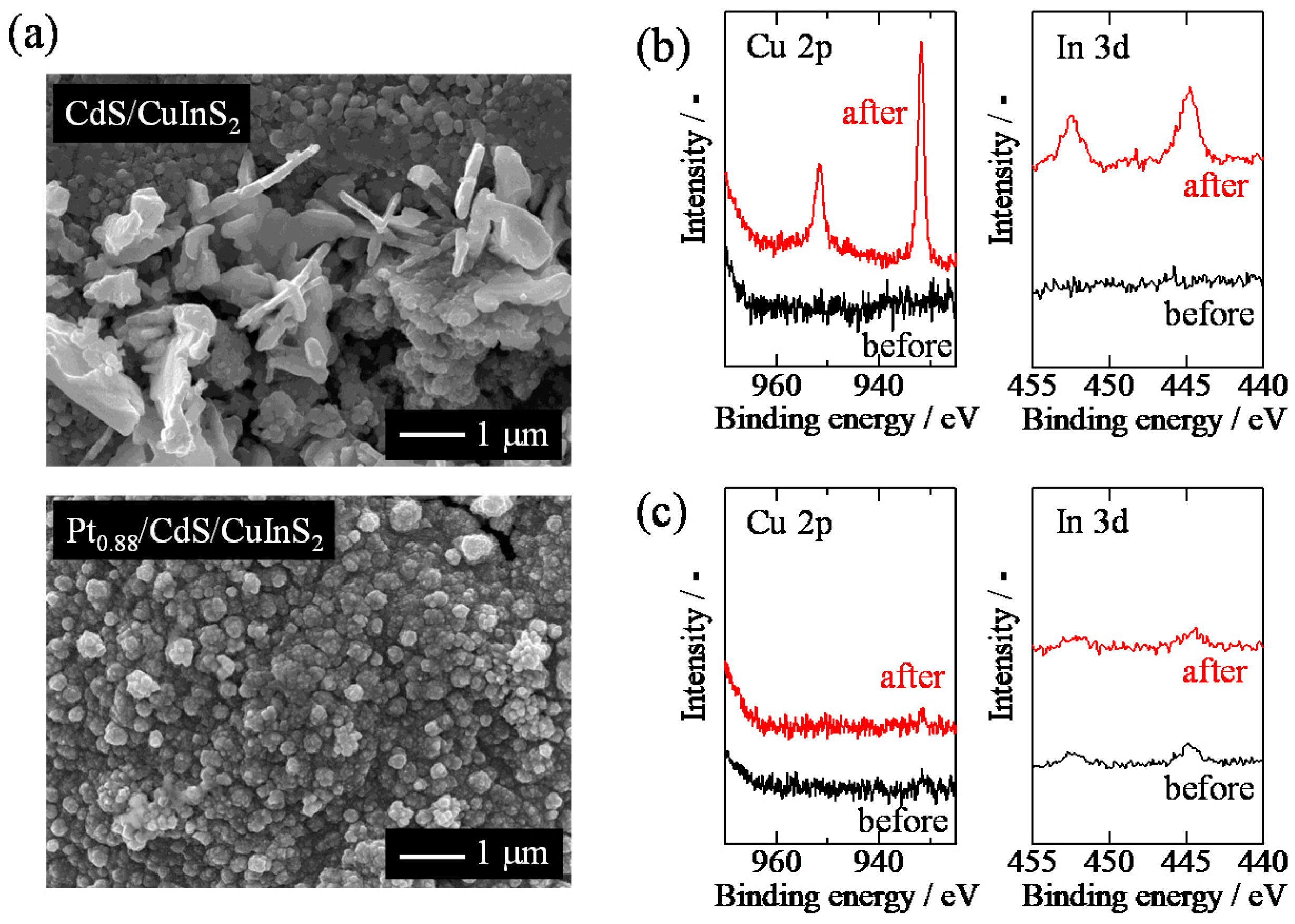 Catalysts 10 00949 g008