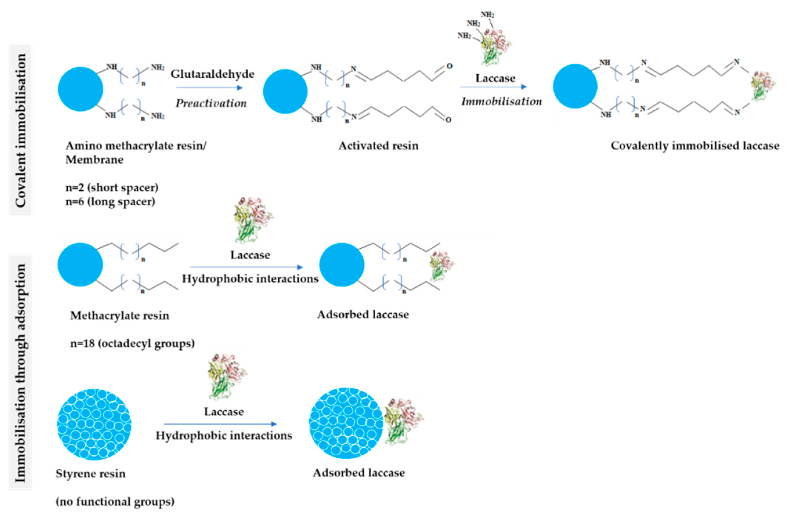 Catalysts 10 00951 g002