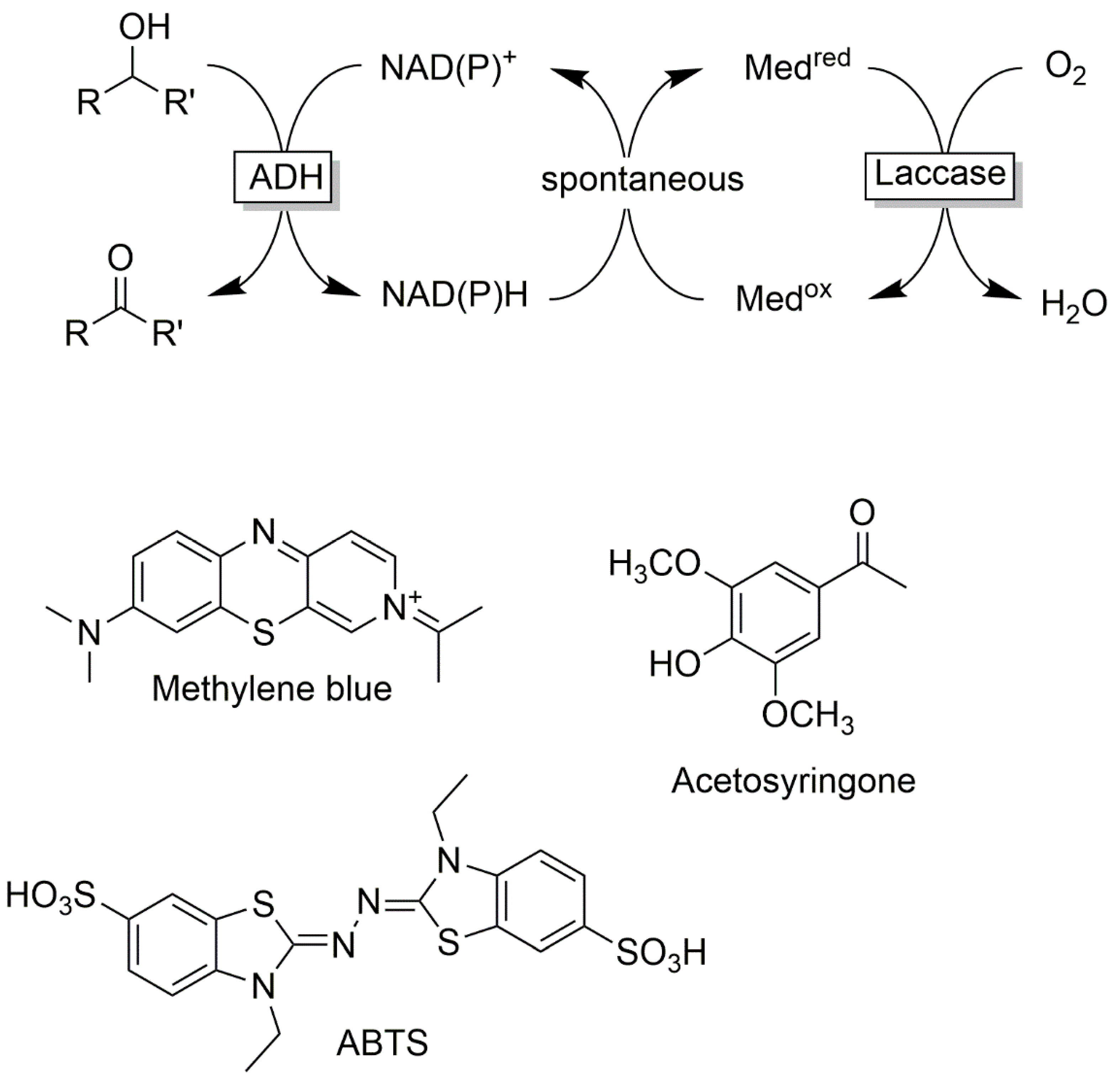 Catalysts Free Full Text Biocatalytic Oxidation Of Alcohols Html