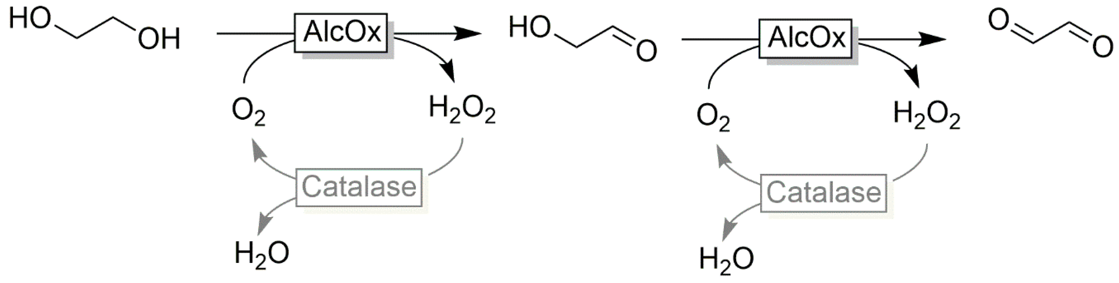Catalysts 10 00952 sch008