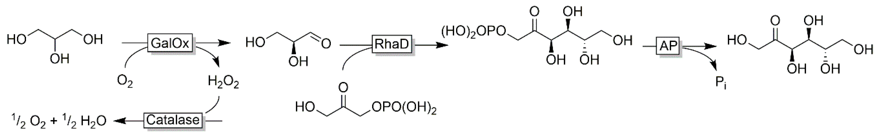 Catalysts 10 00952 sch011