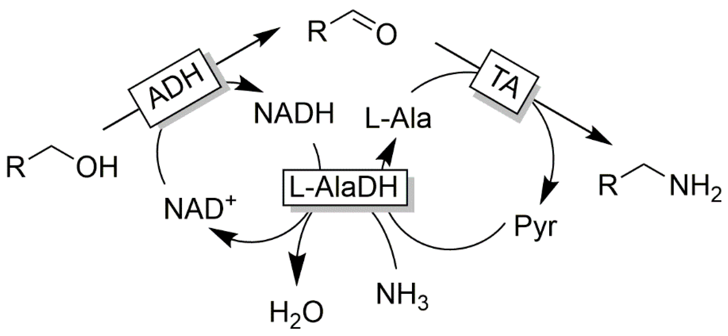 Catalysts 10 00952 sch013