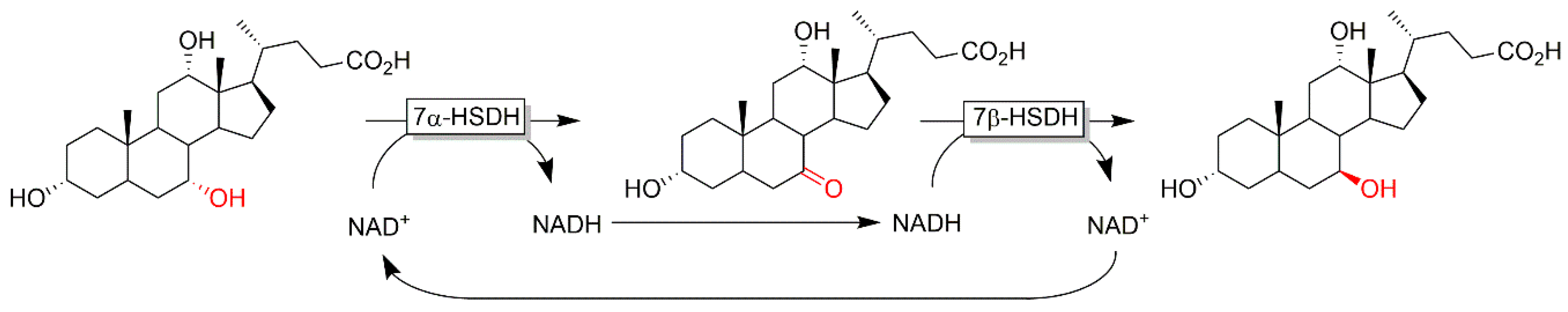 Catalysts 10 00952 sch026