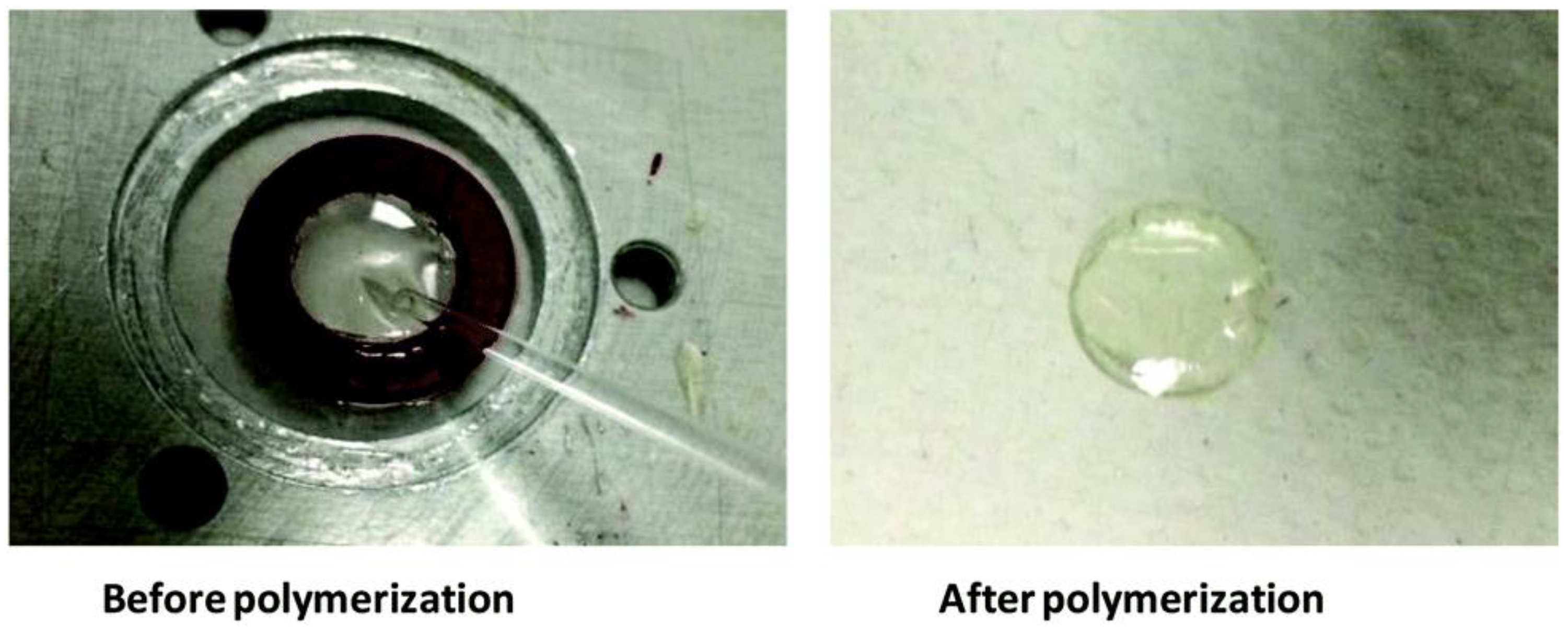 Catalysts 10 00953 g013 Catalysts 10 00953 g013