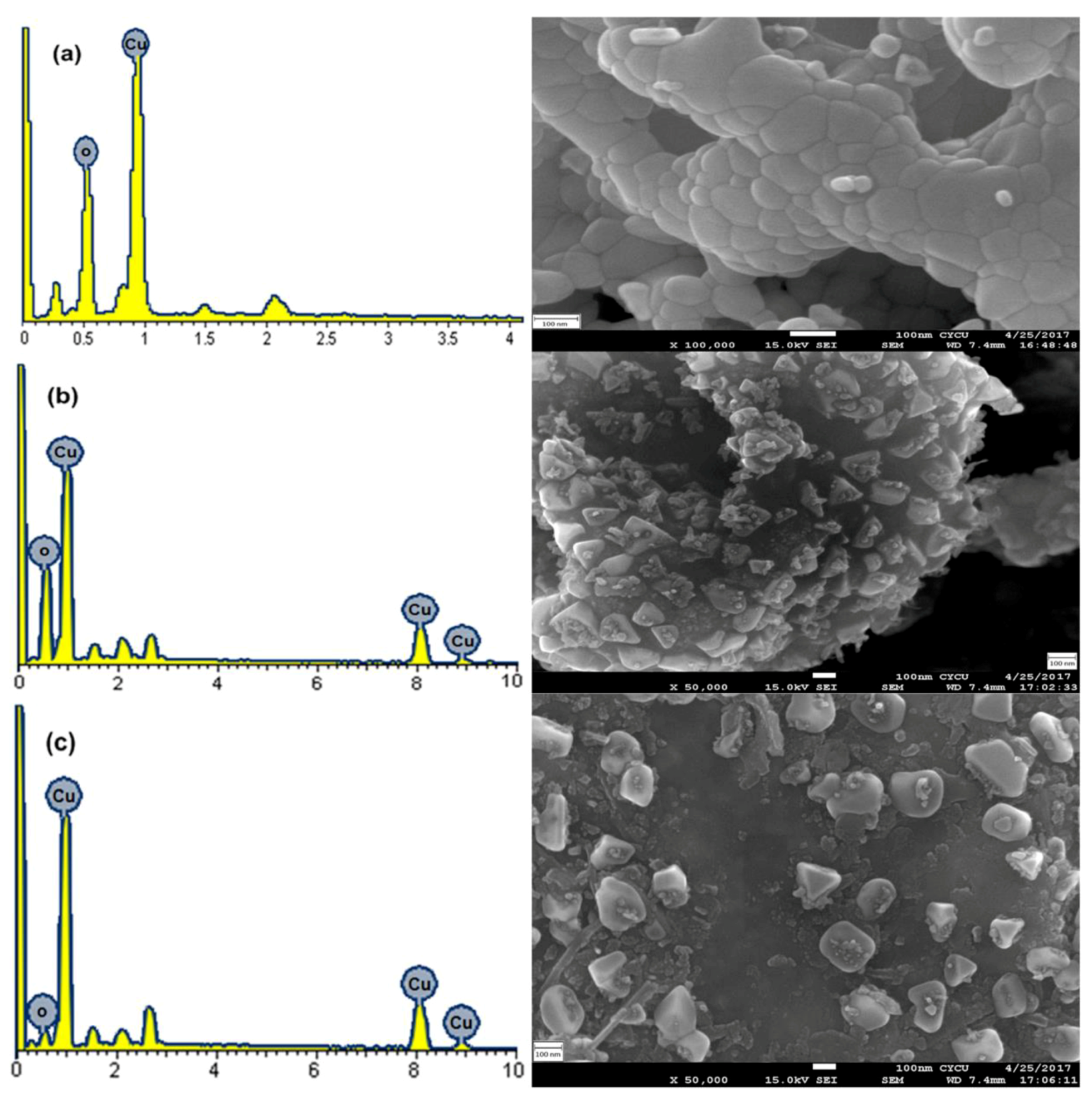 Catalysts 10 01061 g002