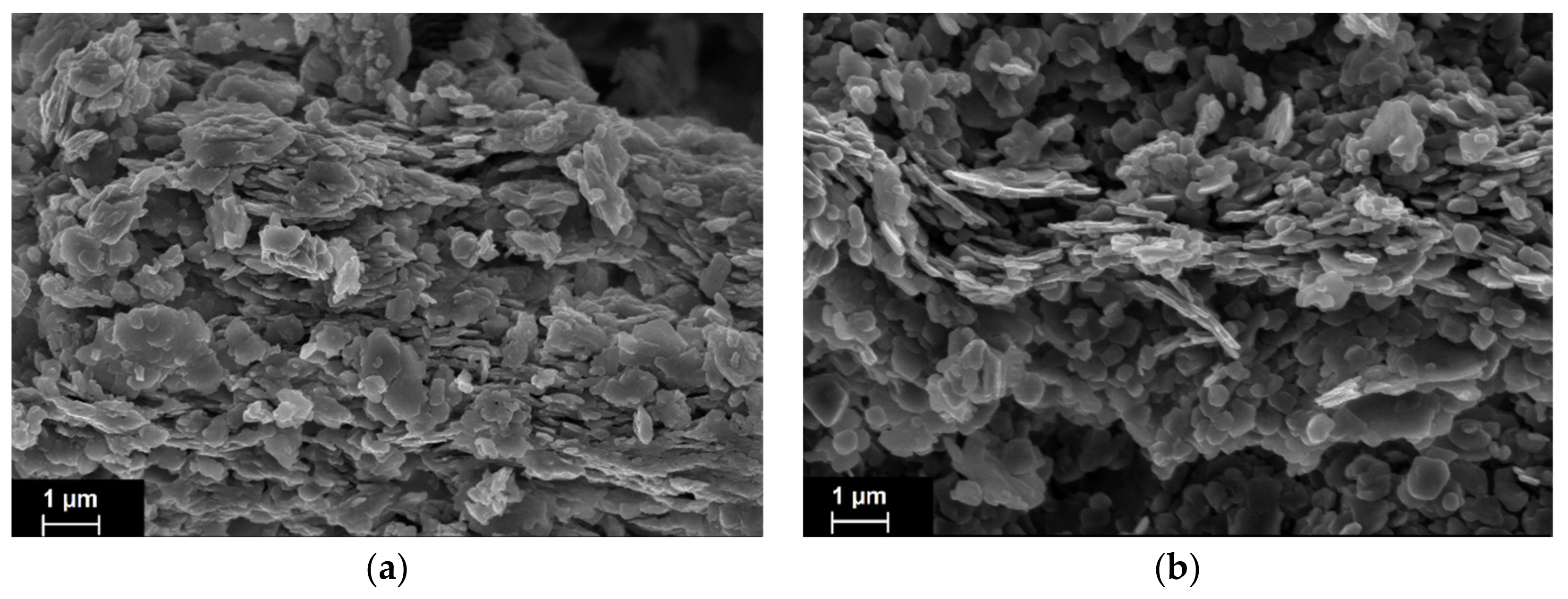 Catalysts 10 01066 g008