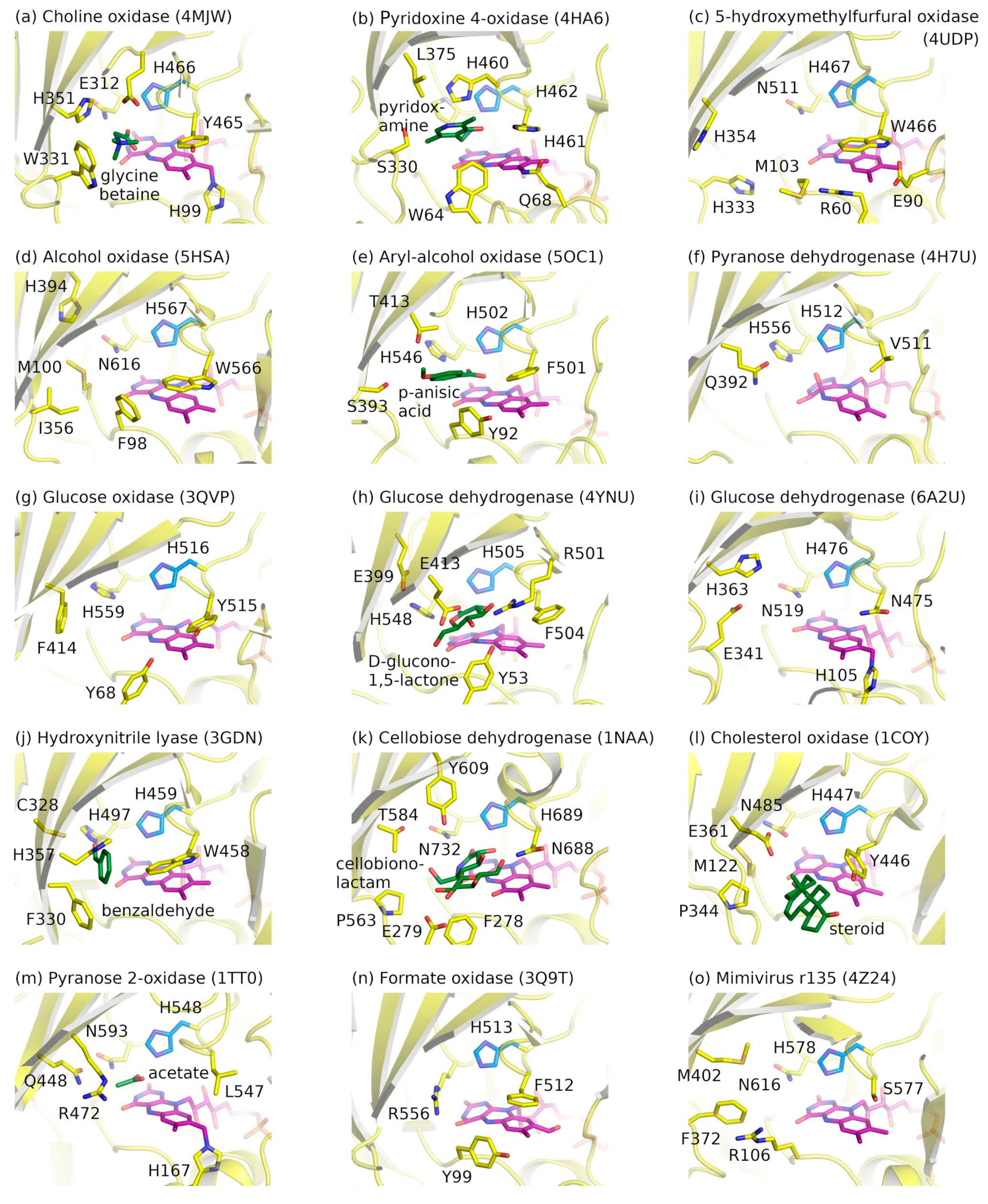 Catalysts 10 01072 g003
