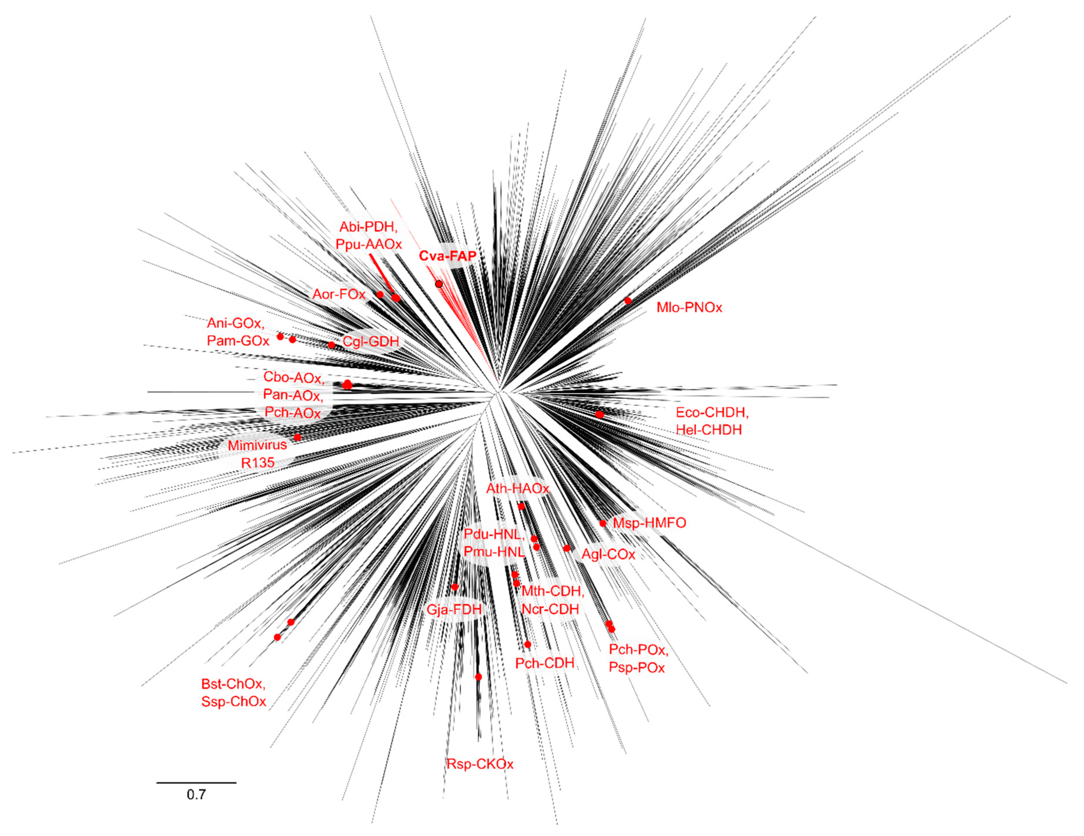 Catalysts 10 01072 g004
