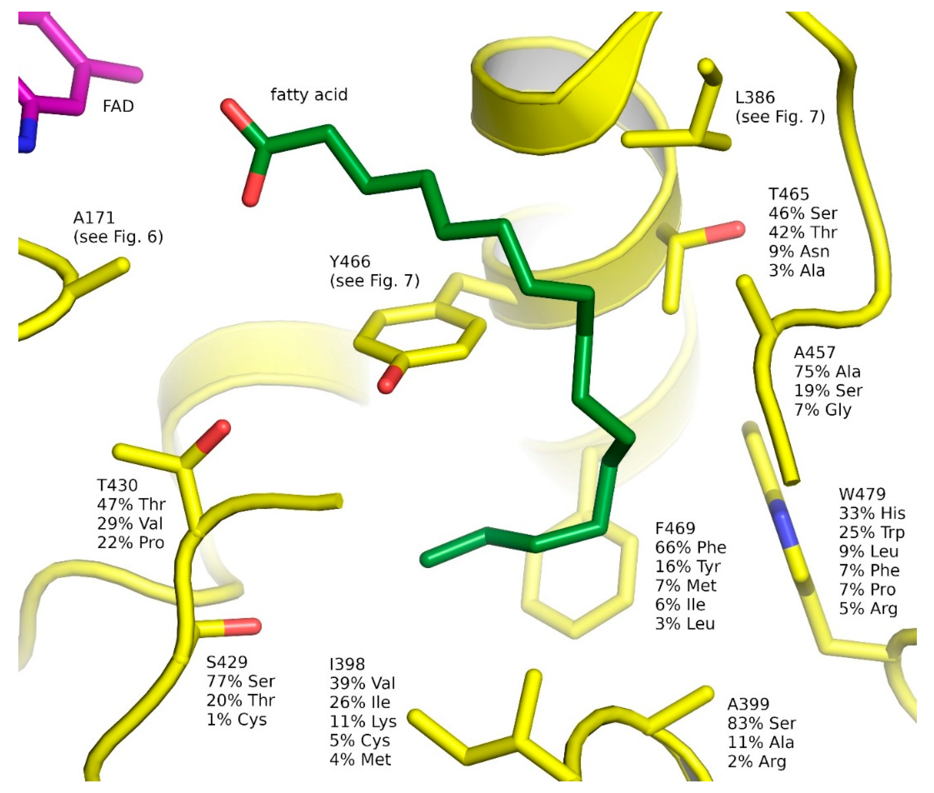 Catalysts 10 01072 g008