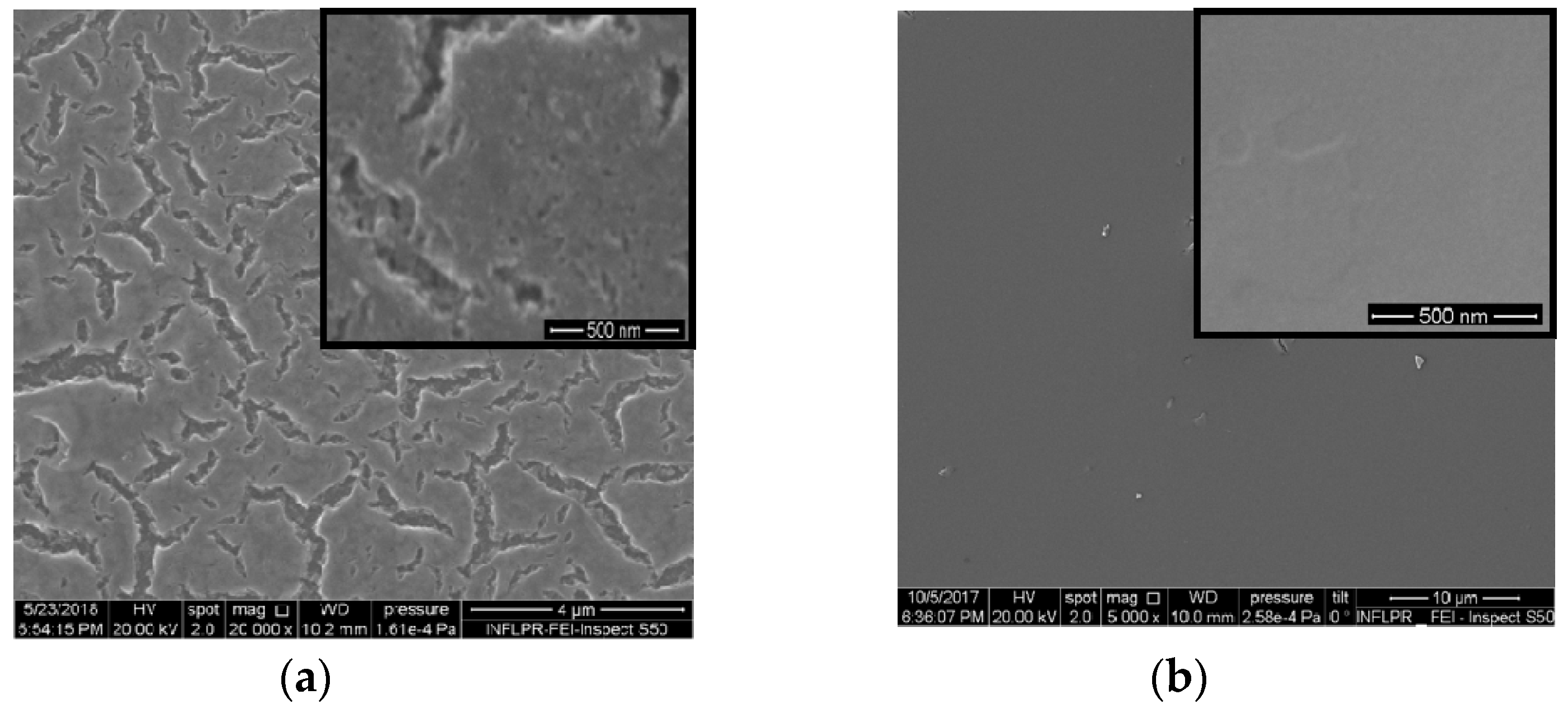 Catalysts 10 01074 g001