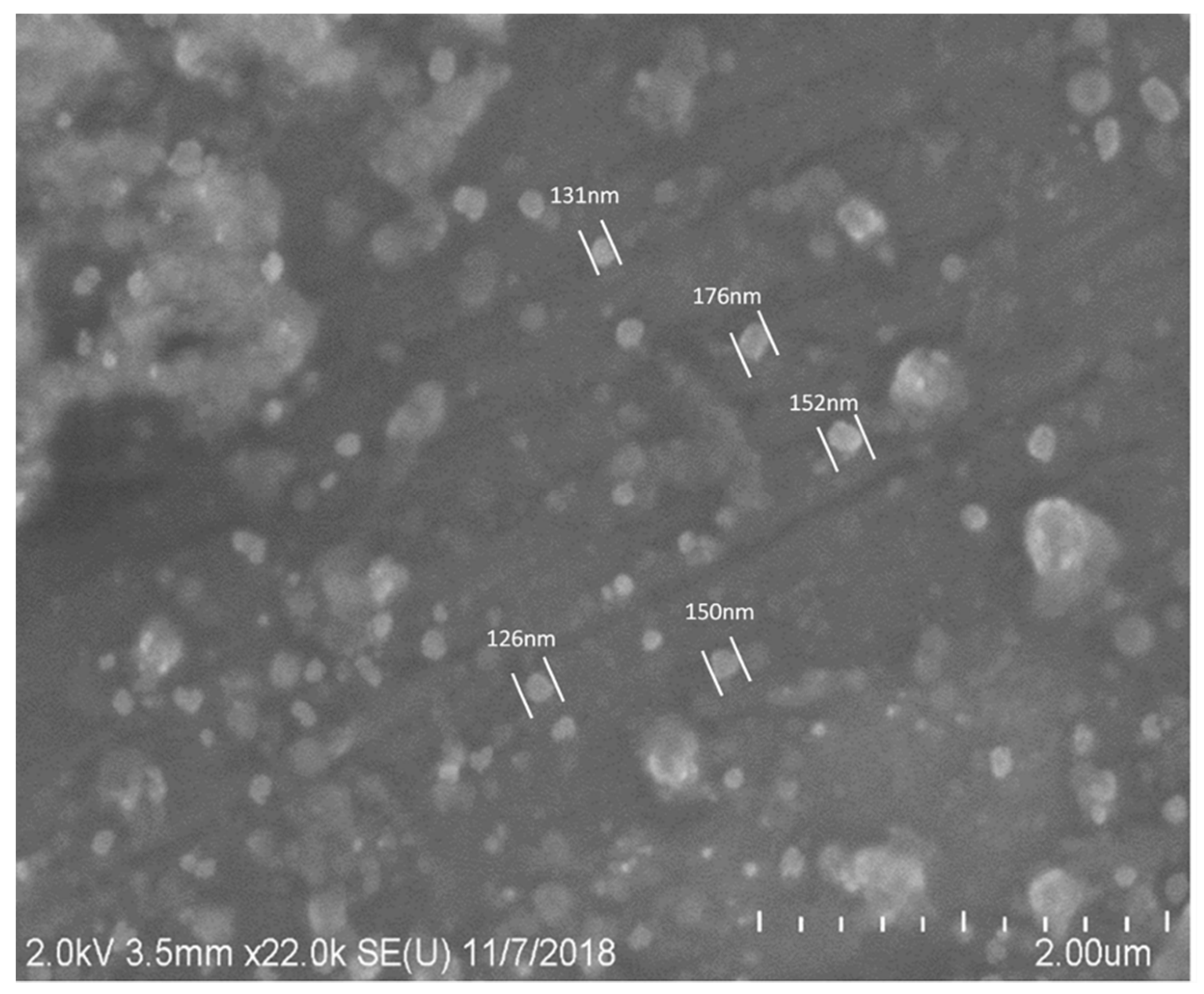 Catalysts 10 01085 g001 Catalysts 10 01085 g001