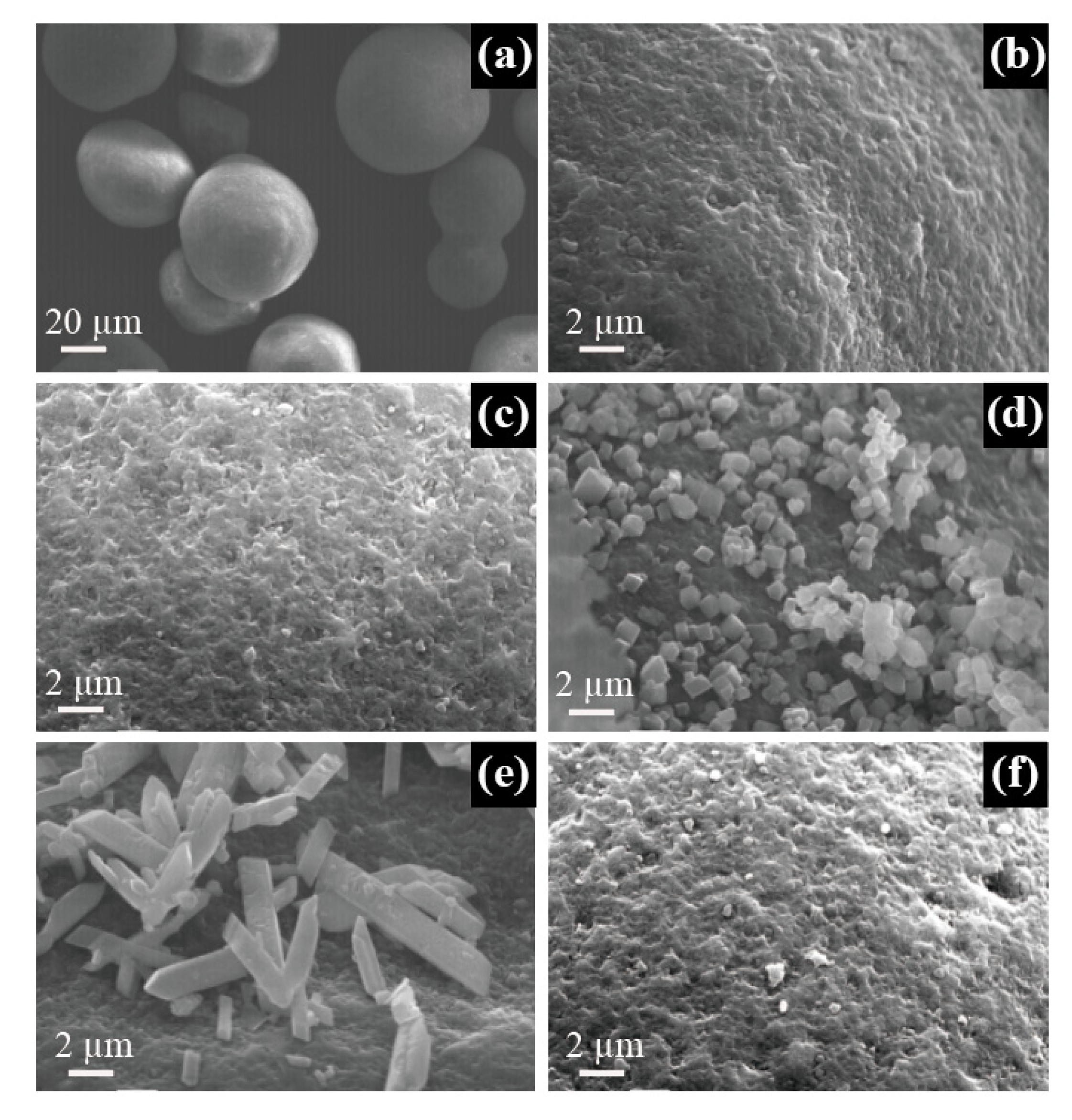 Catalysts 10 01090 g004 Catalysts 10 01090 g004