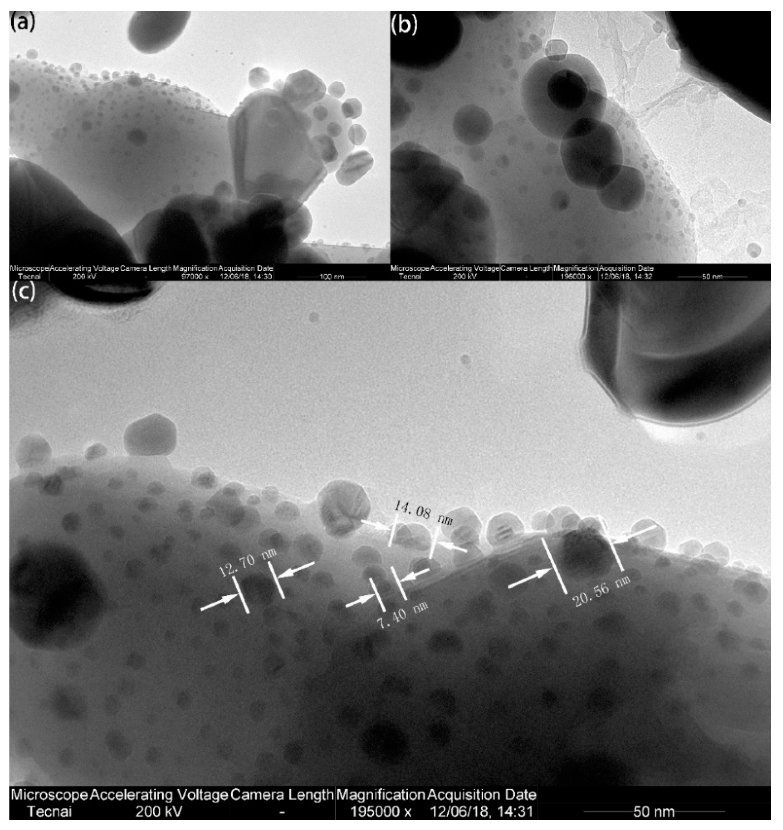 Catalysts 10 01097 g008 Catalysts 10 01097 g008