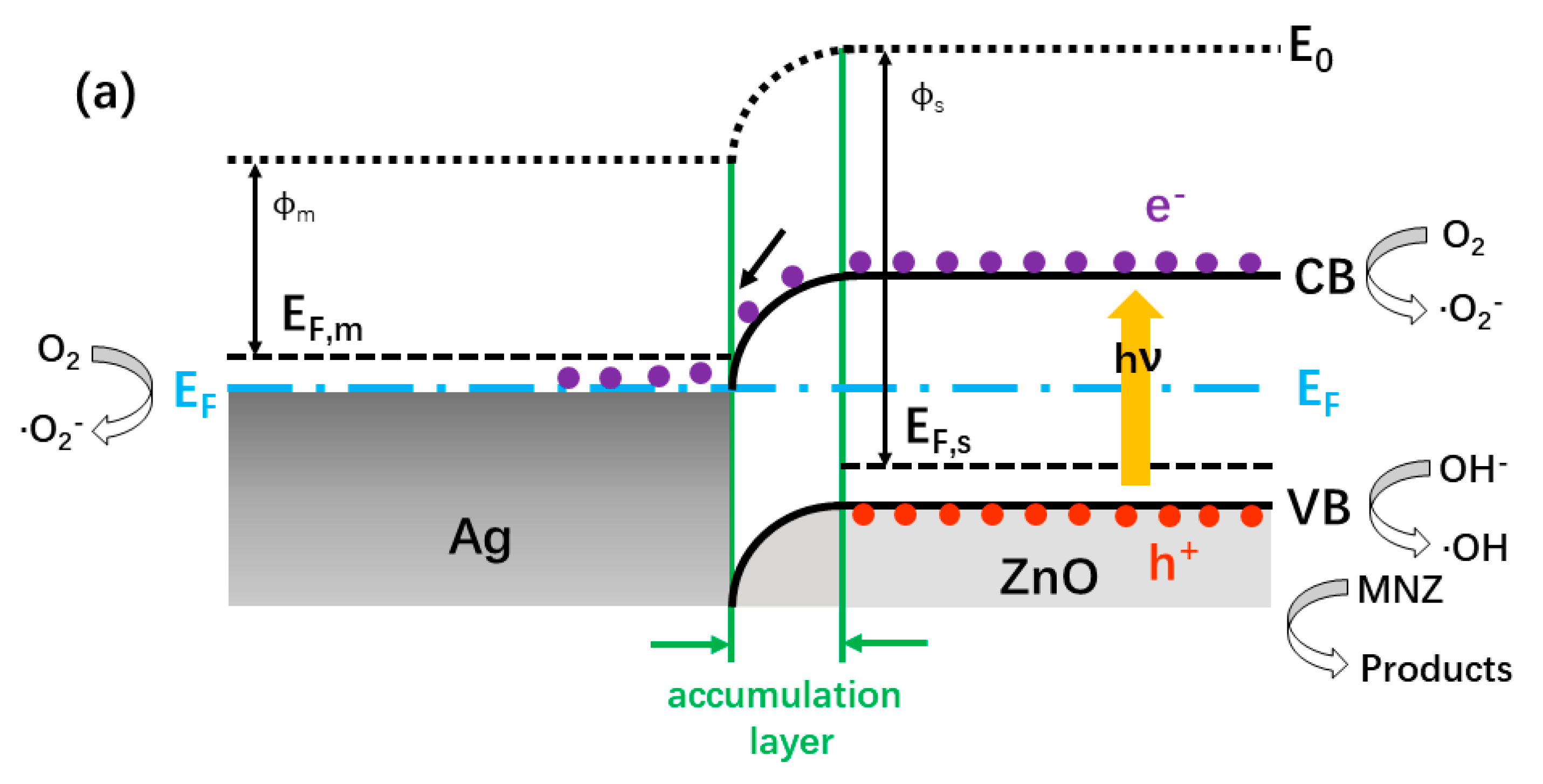 Catalysts 10 01097 g016a Catalysts 10 01097 g016a