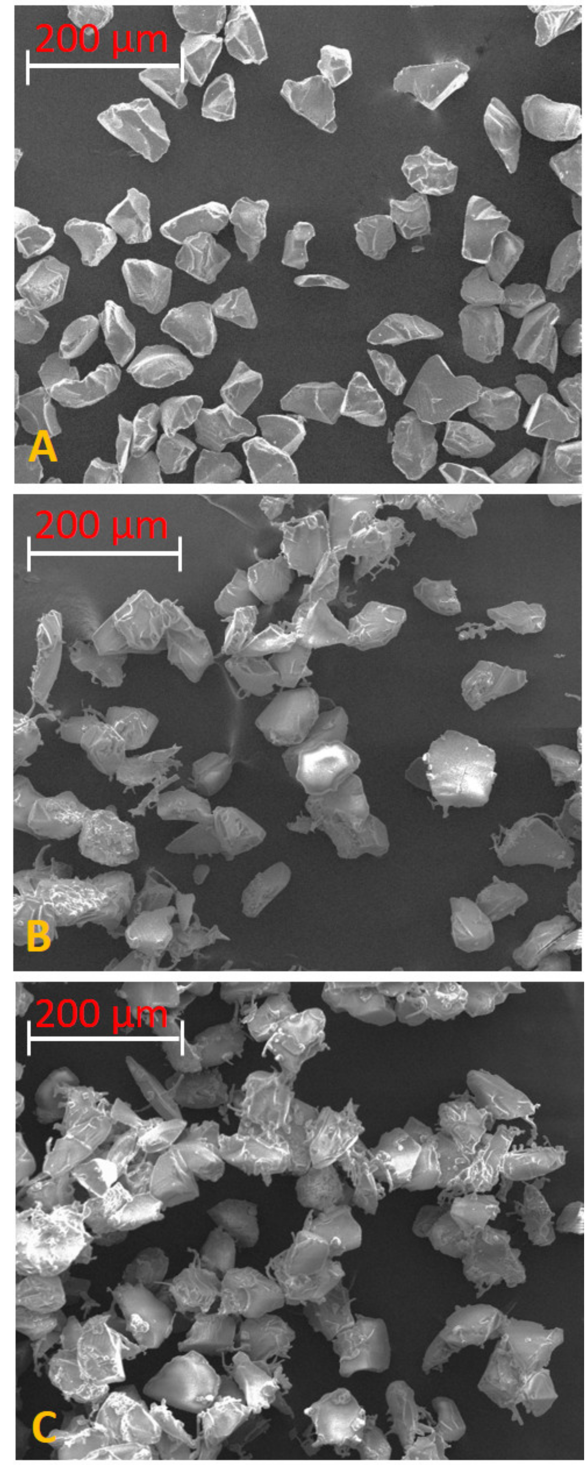 Catalysts 10 01108 g001