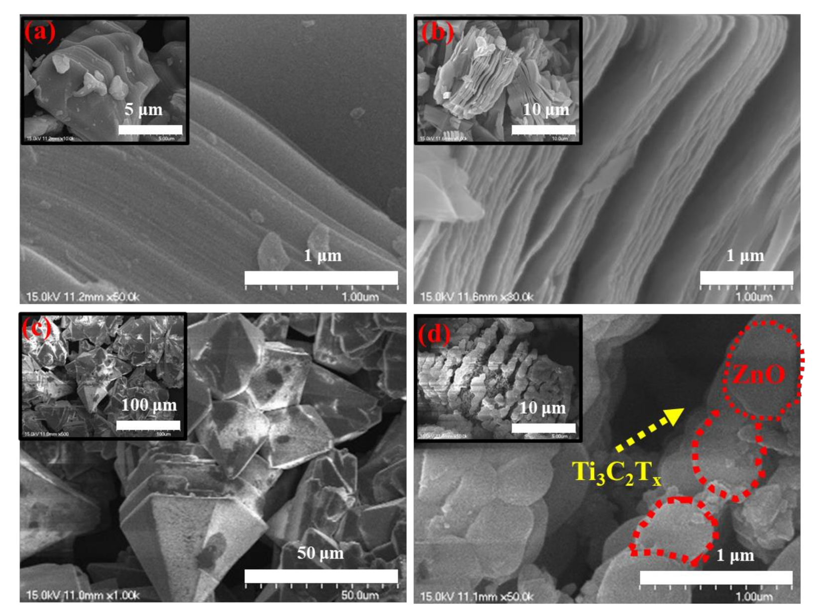 Catalysts 10 01140 g002