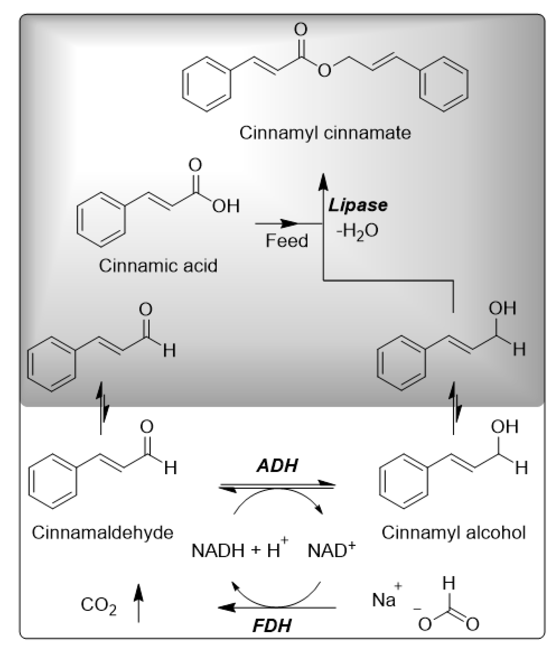 Catalysts 10 01216 g001